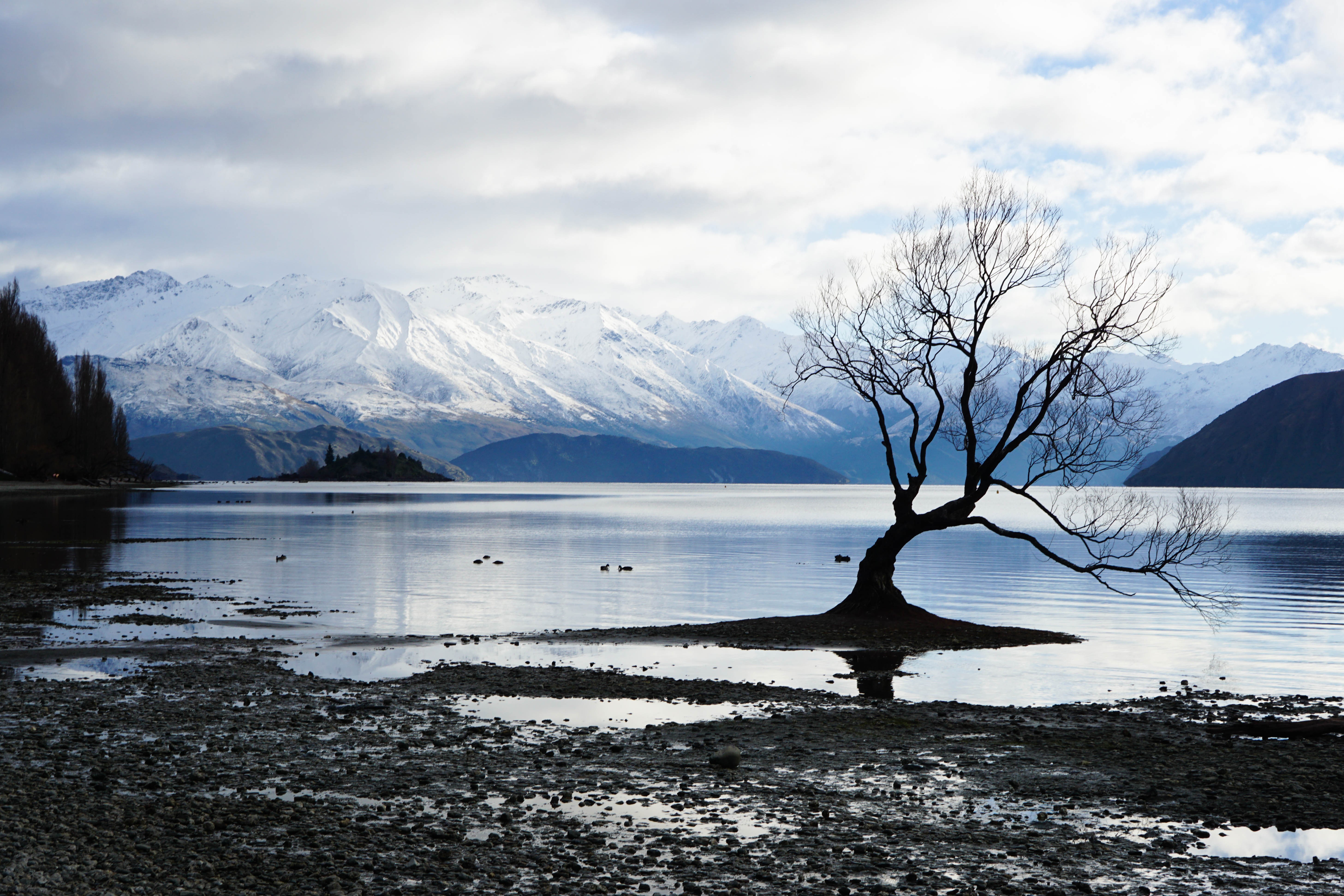 tree, nature, lake, snow, mountain, landscape, hd, 4k, 5k, HD Wallpaper