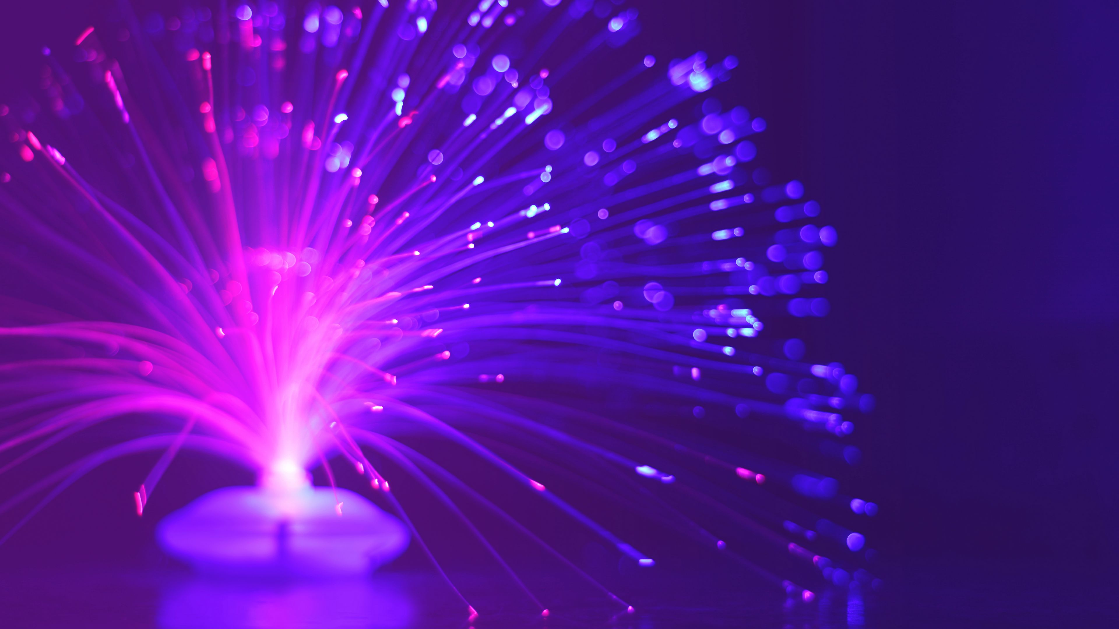 optical fiber, filament, glow, light, glare, 4k, HD Wallpaper