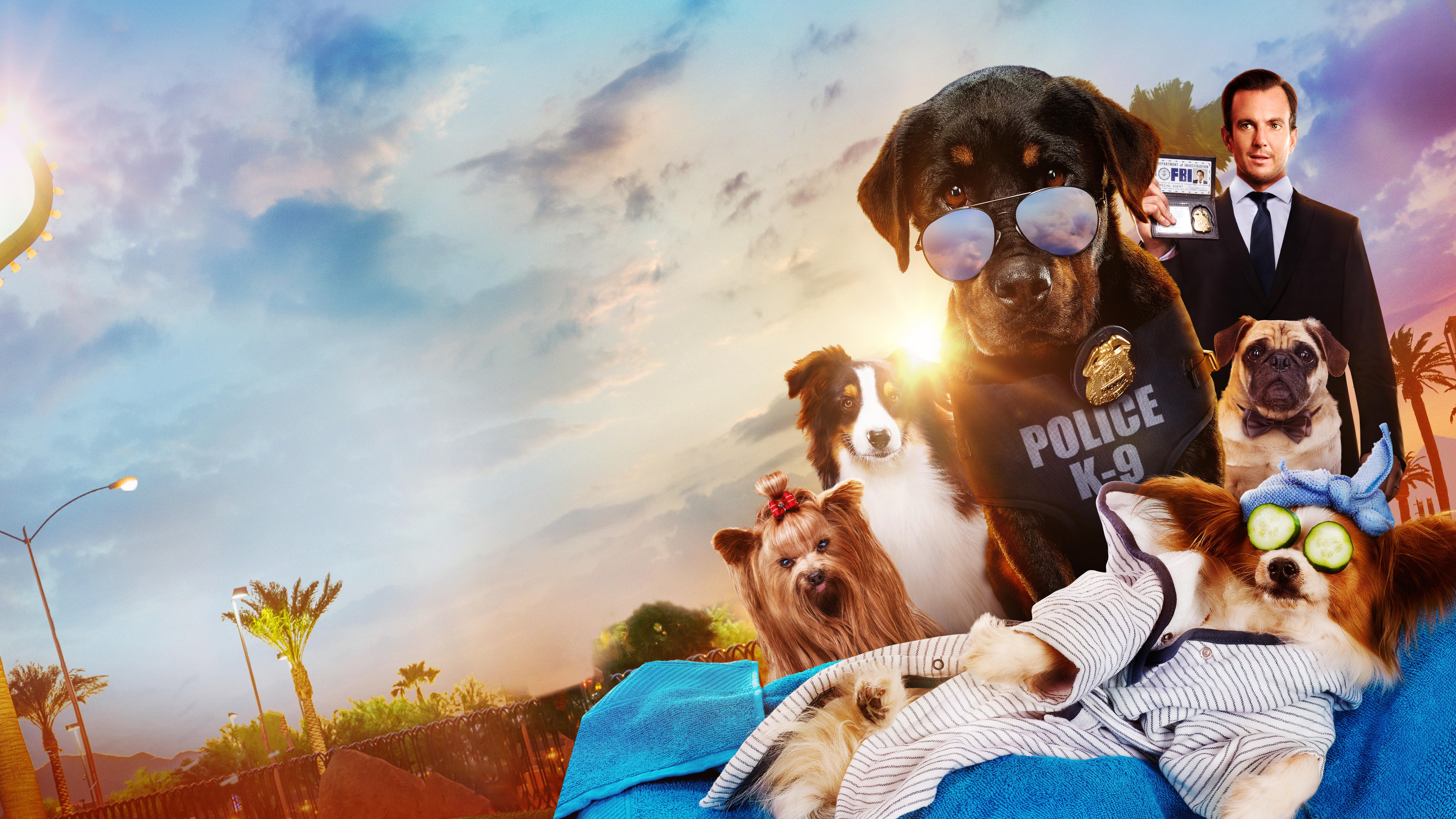 show dogs, 2018 movies, movies, hd, dogs, 4k, 5k, 8k, HD Wallpaper
