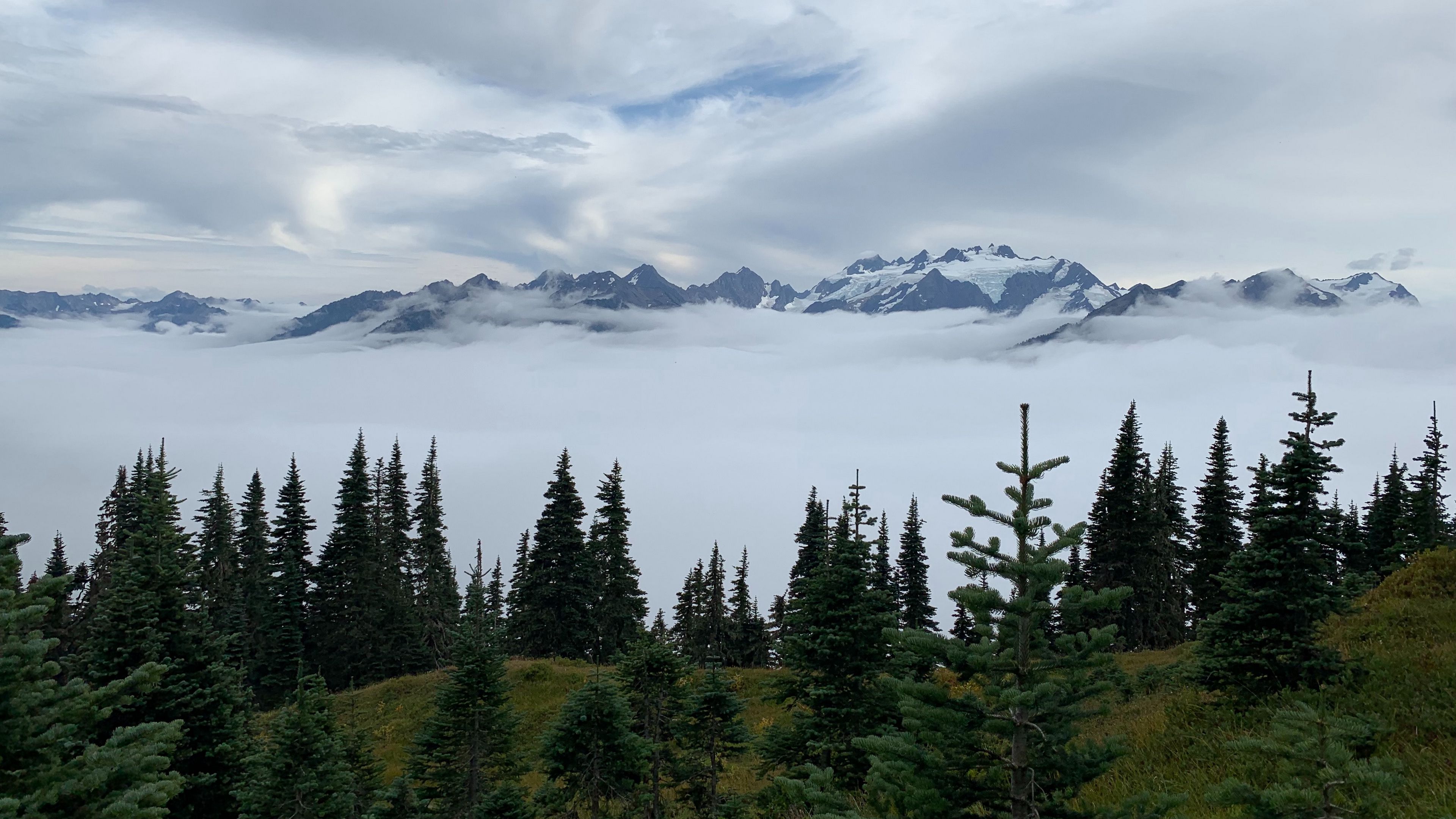 mountains, trees, fog, clouds, landscape, 4k, HD Wallpaper