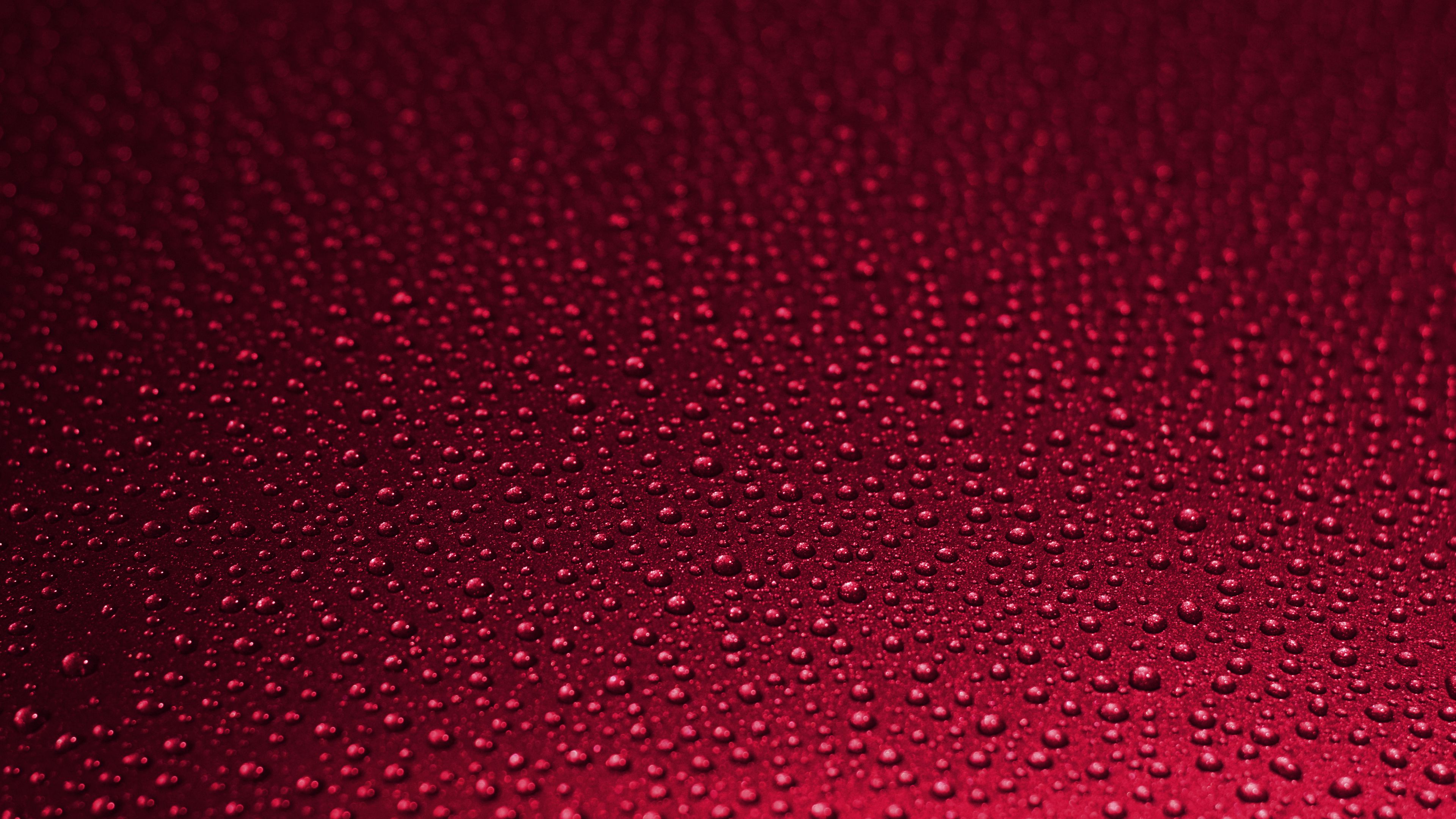 drops, wet, surface, red, macro, 4k, HD Wallpaper