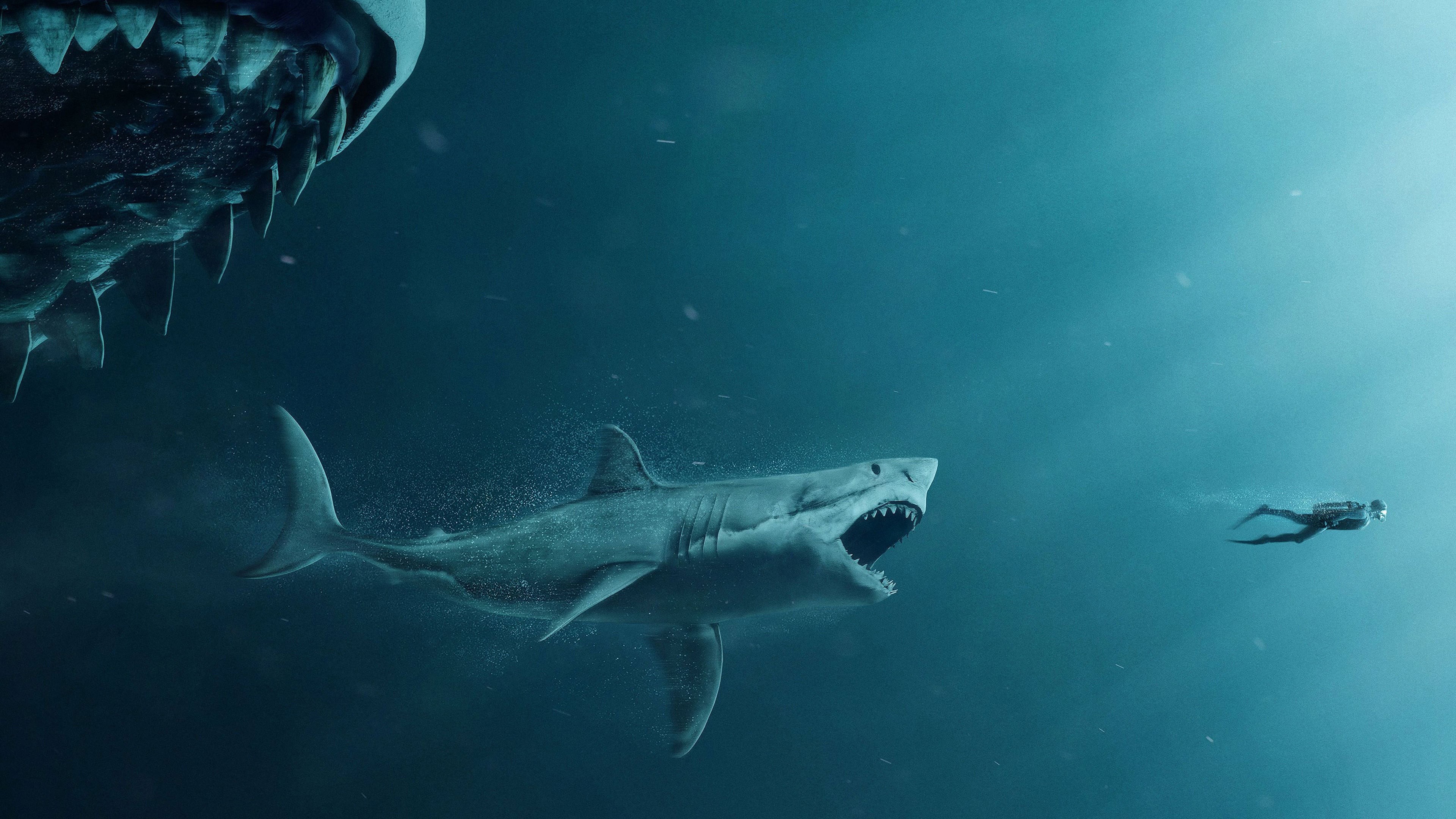 the meg, movies, 2018 movies, hd, 4k, HD Wallpaper