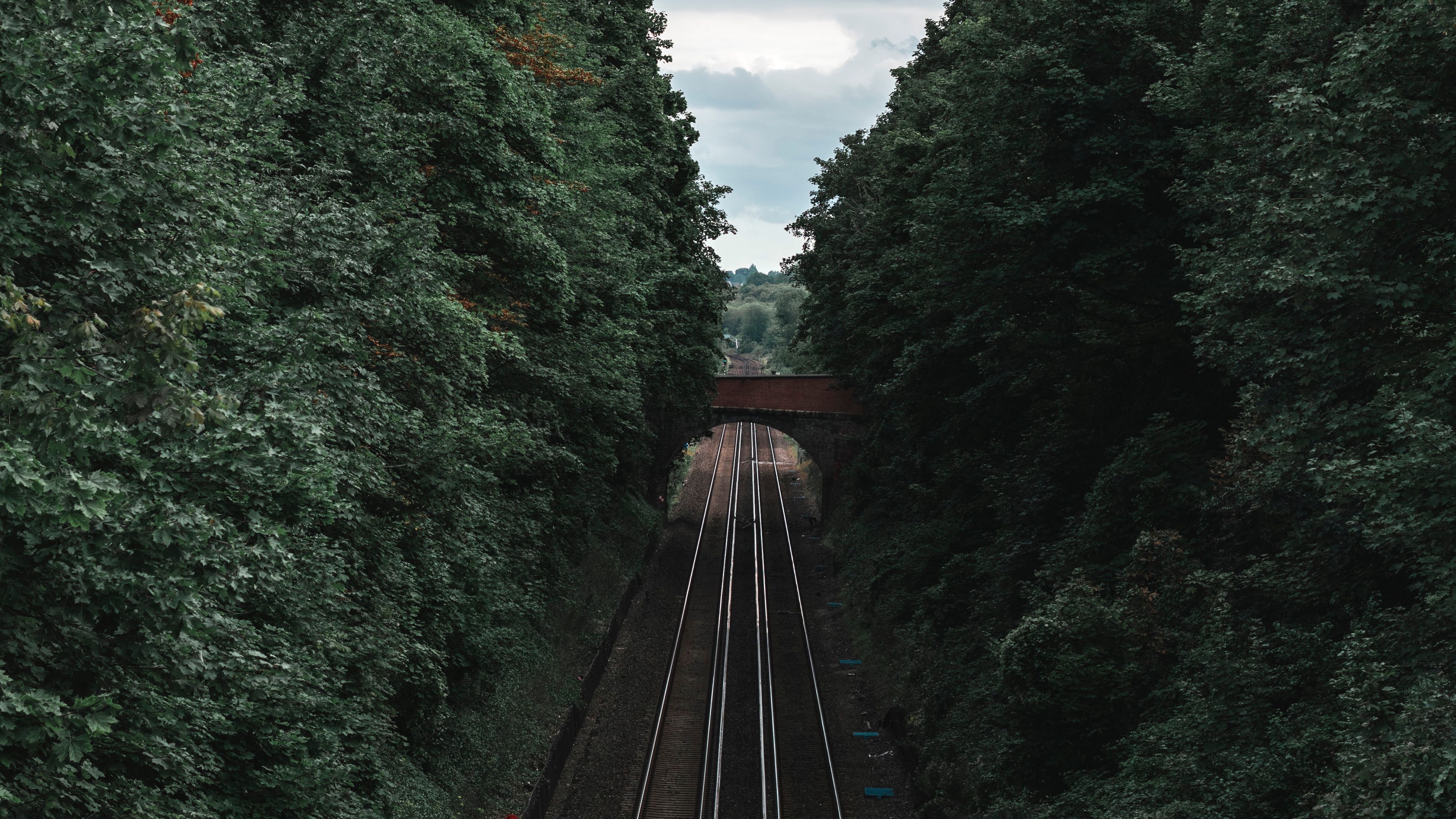 railway, rails, trees, tunnel, corridor, 4k, HD Wallpaper