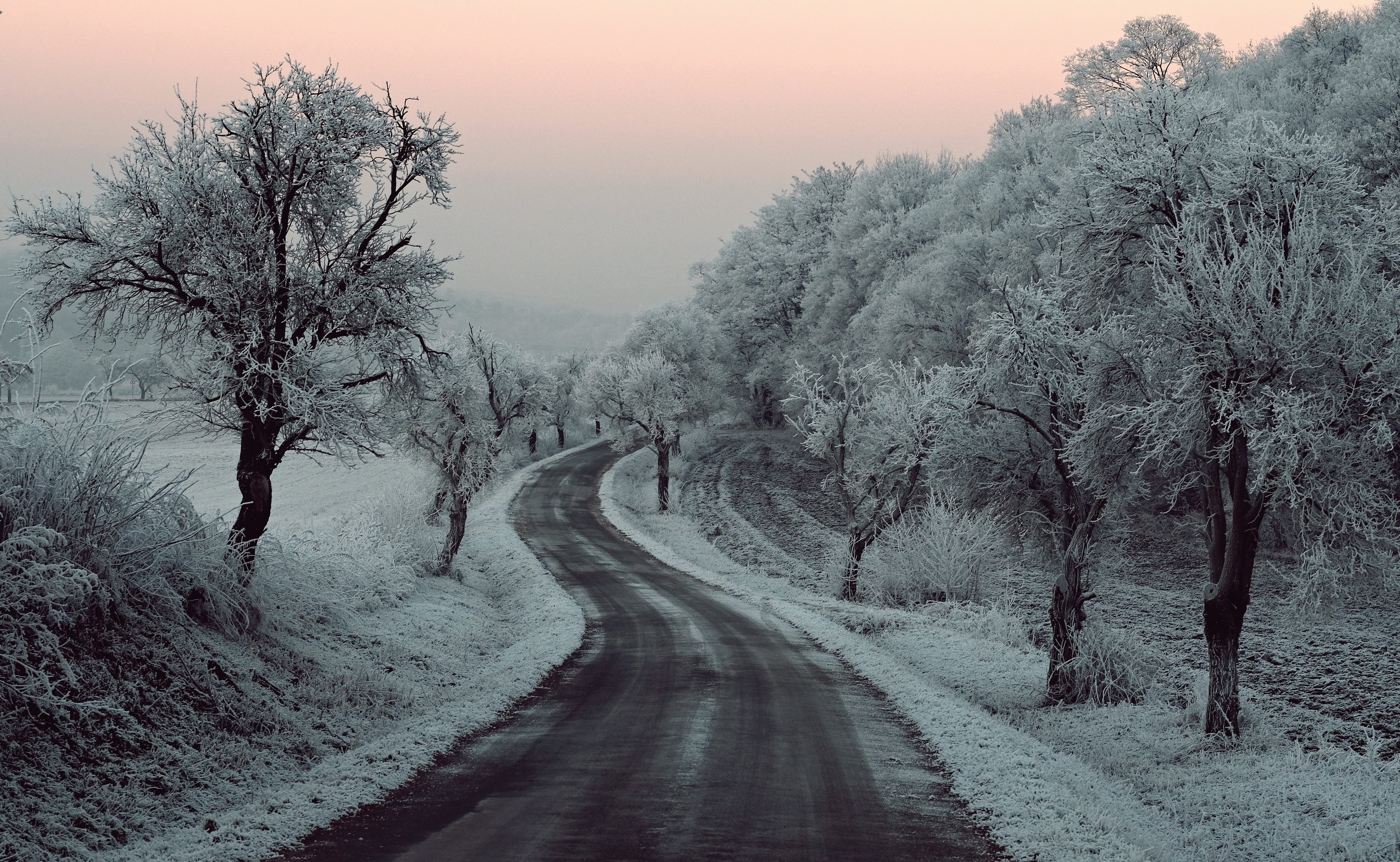 winter, snow, road, trees, hd, 4k, 5k, nature, HD Wallpaper