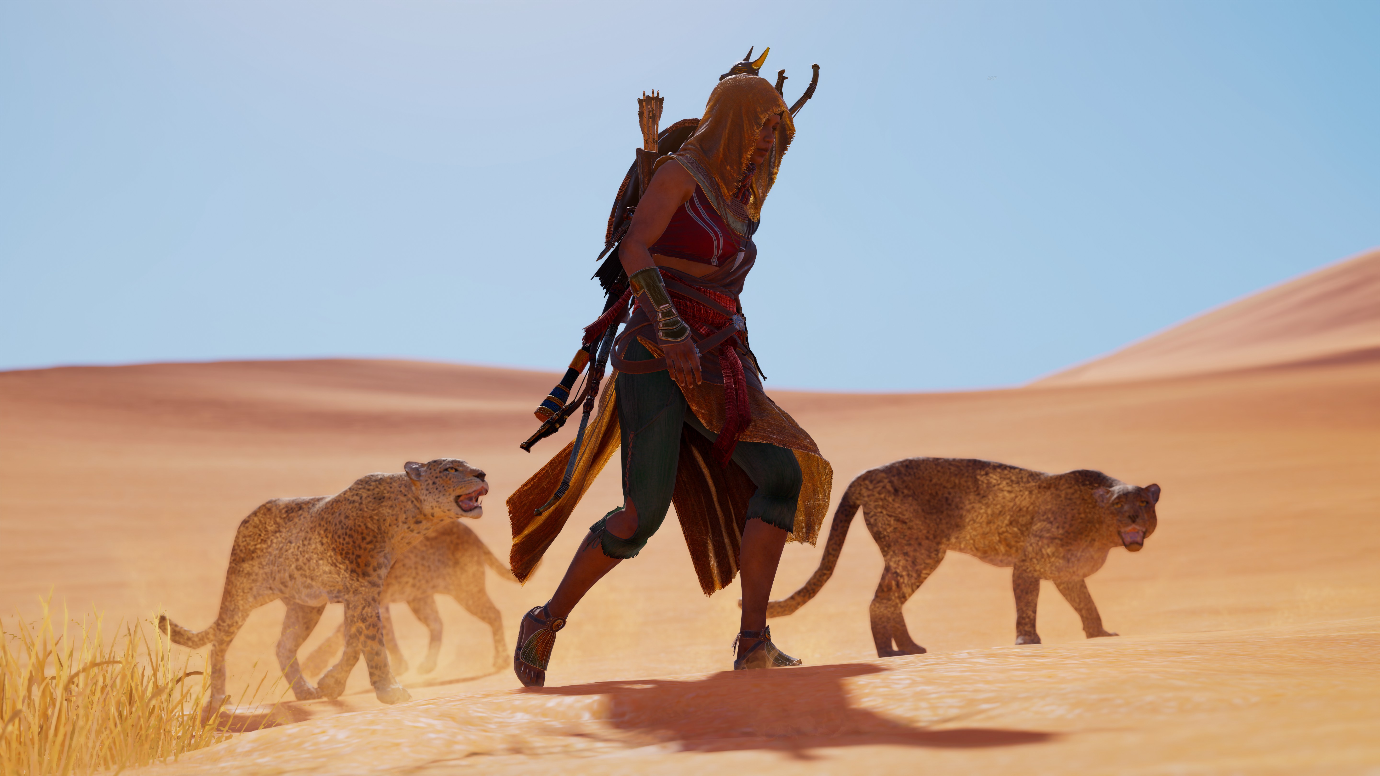 assassins creed origins, assassins creed, games, xbox games, ps games, pc games, hd, 4k, 5k, HD Wallpaper