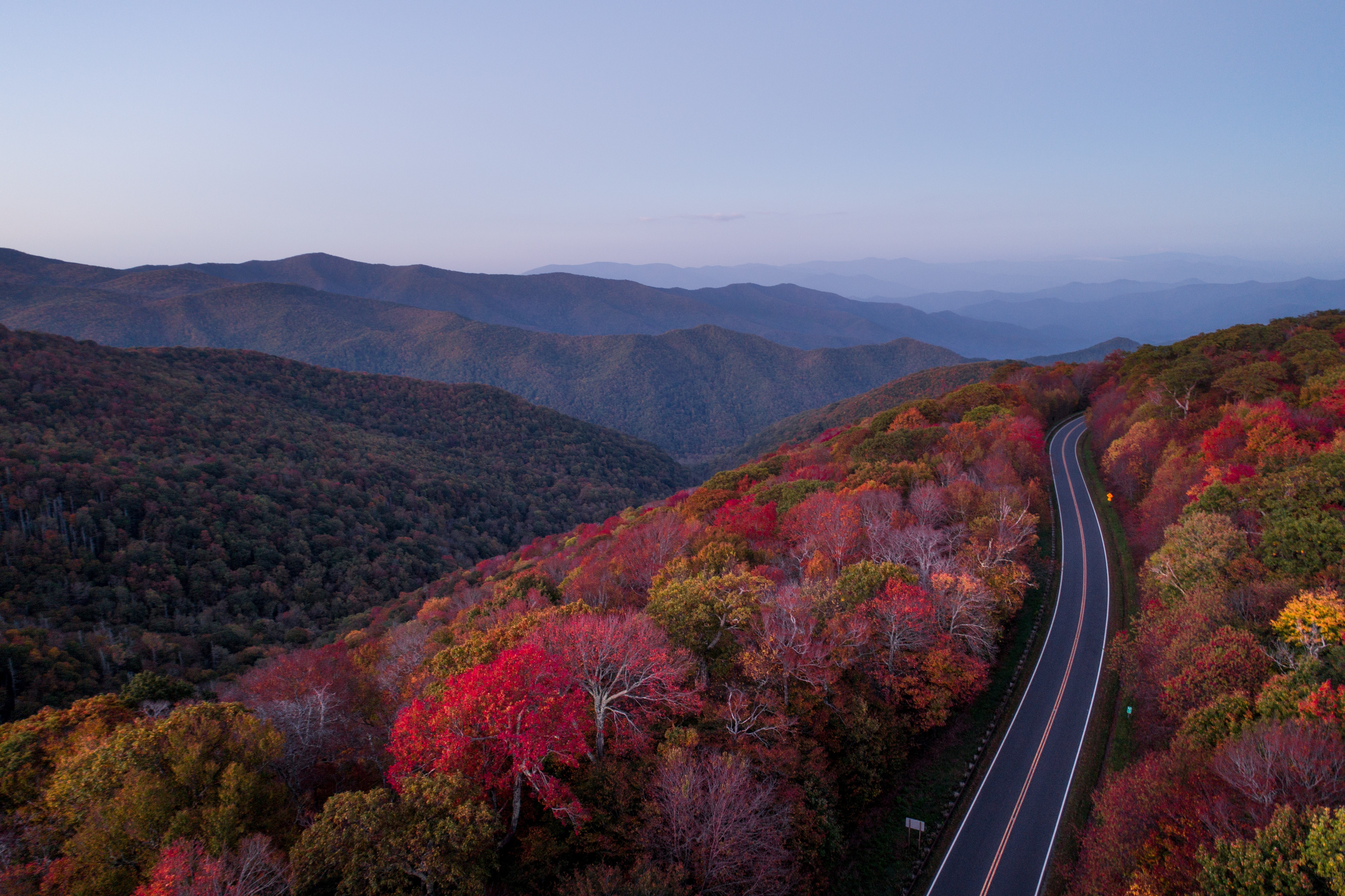 autumn, roads, forest, trees, nature, hd, 4k, HD Wallpaper
