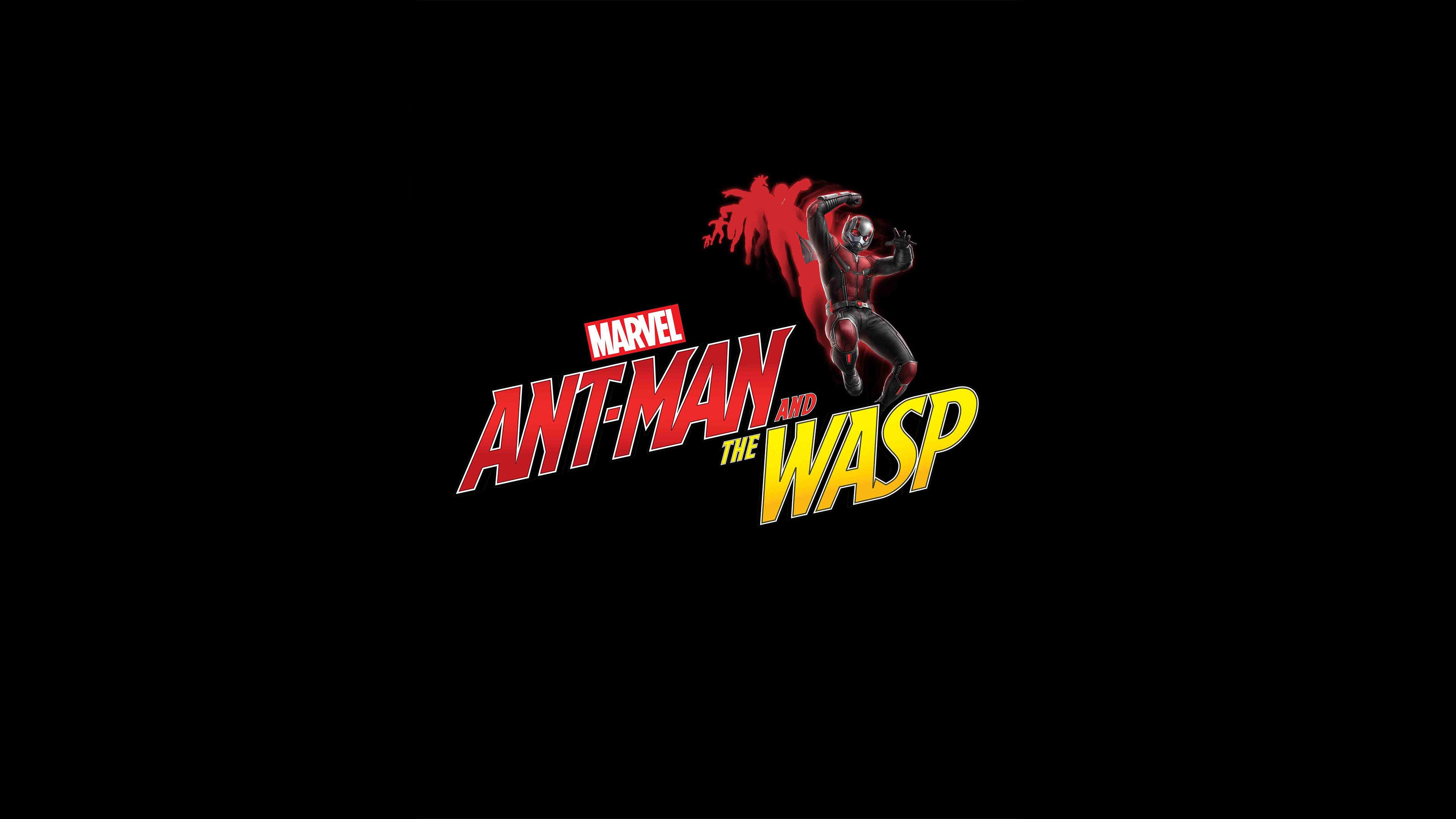 ant man and the wasp, ant man, hd, 4k, 2018 movies, movies, poster, HD Wallpaper
