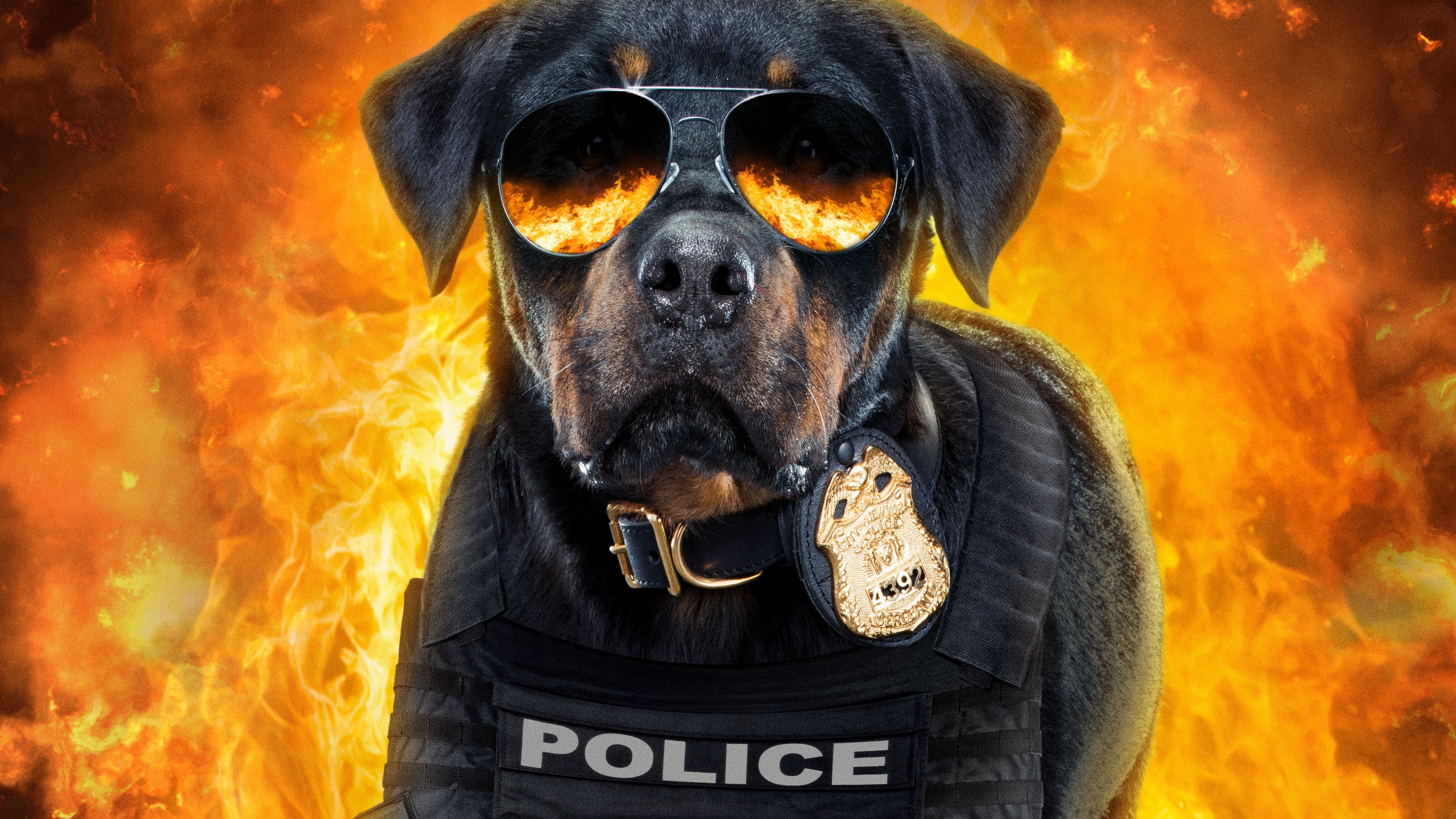 show dogs, 2018 movies, movies, hd, dogs, 4k, 5k, poster, HD Wallpaper