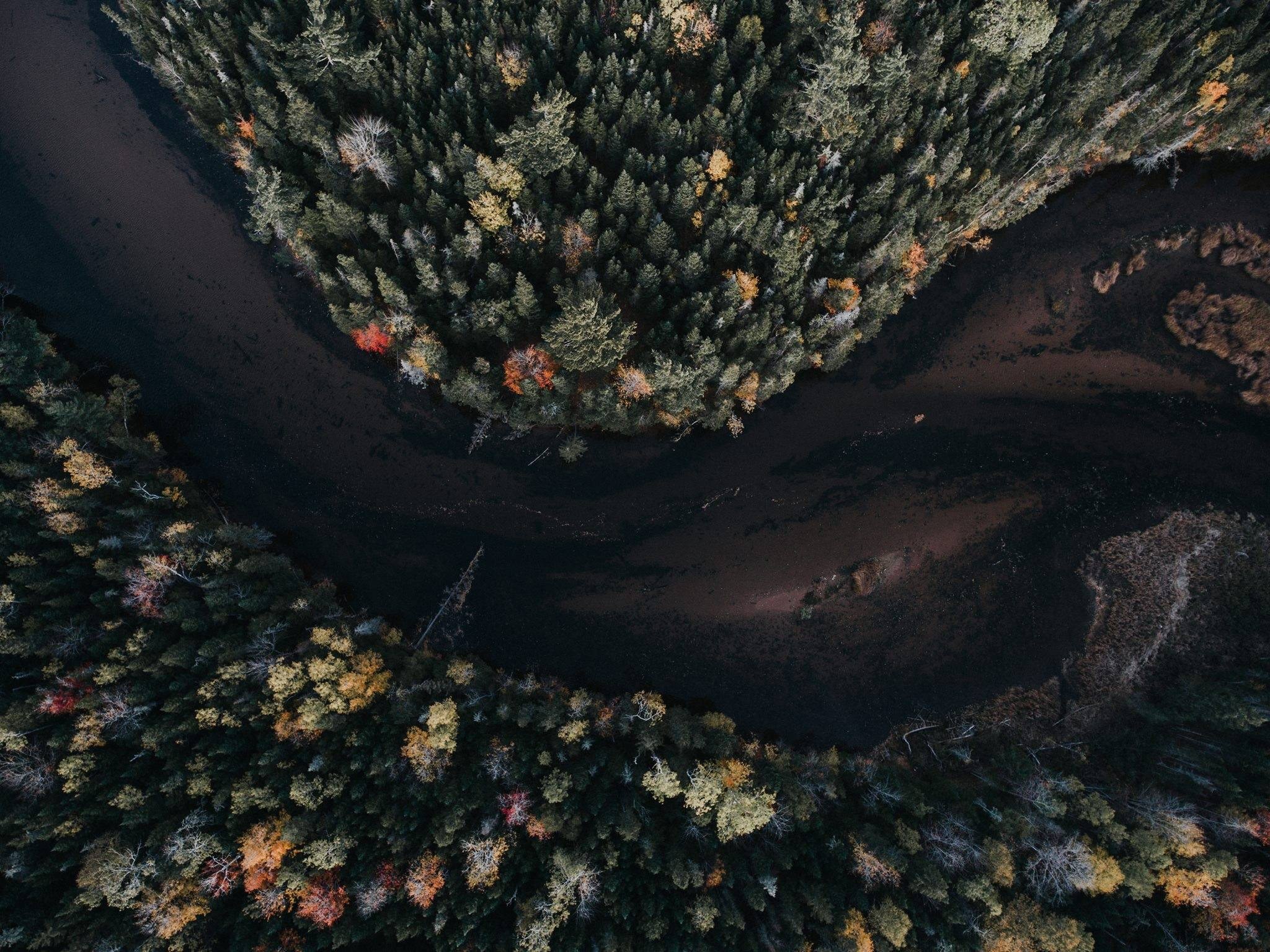 aerial, autumn, trees, nature, hd, HD Wallpaper