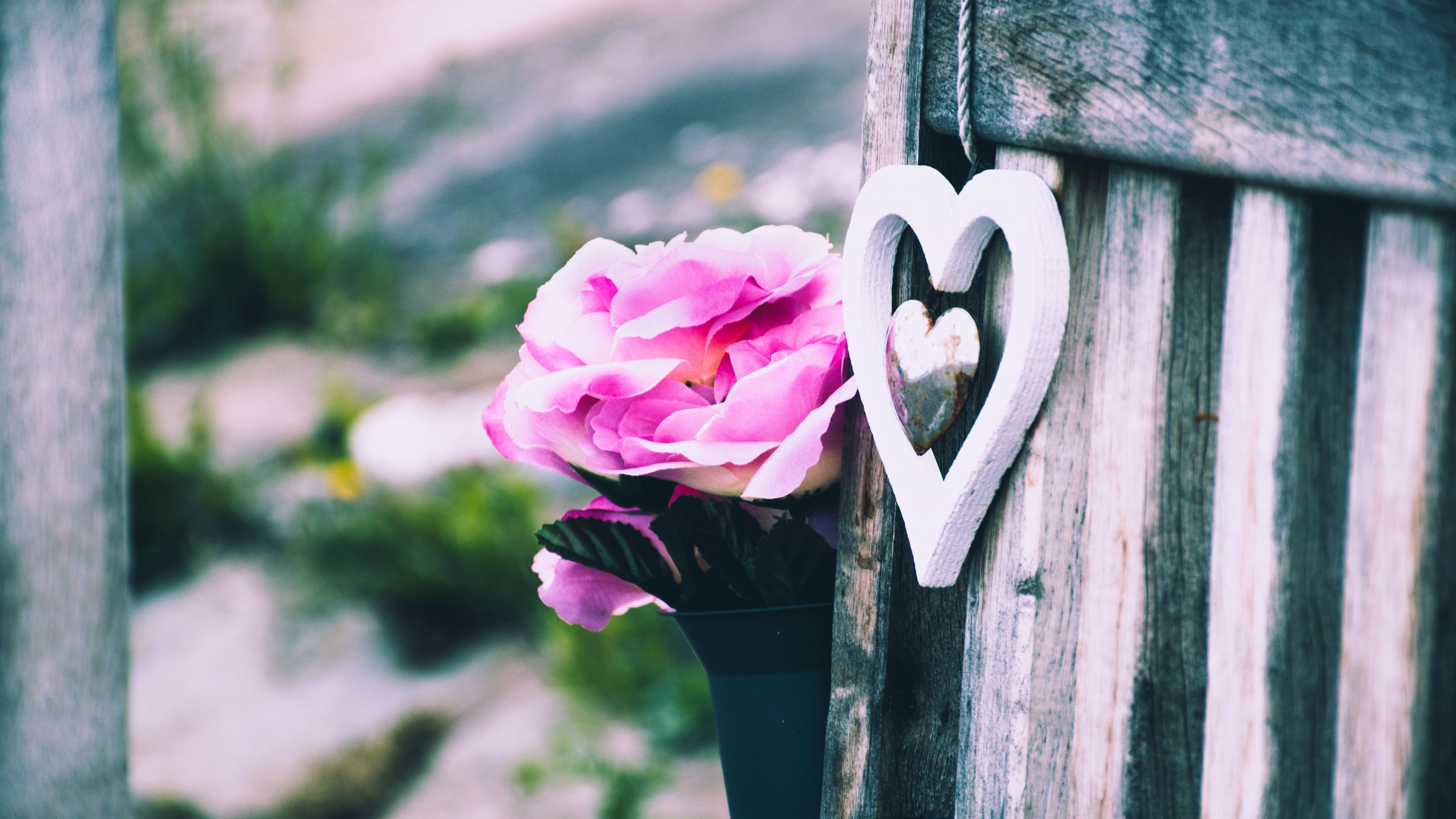 flower, heart, decorative, 4k, HD Wallpaper