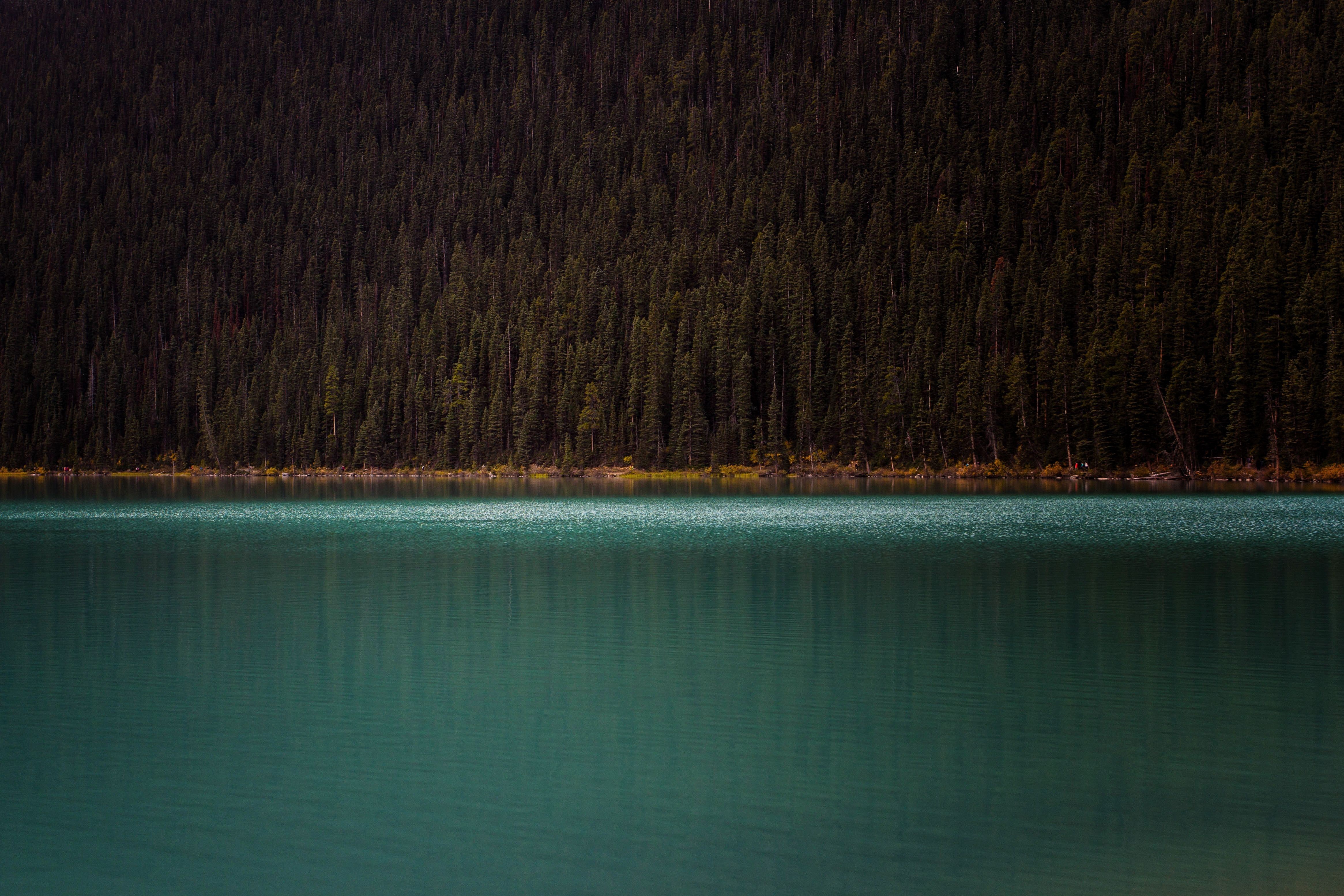 mountains, trees, nature, hd, lake, 4k, landscape, HD Wallpaper
