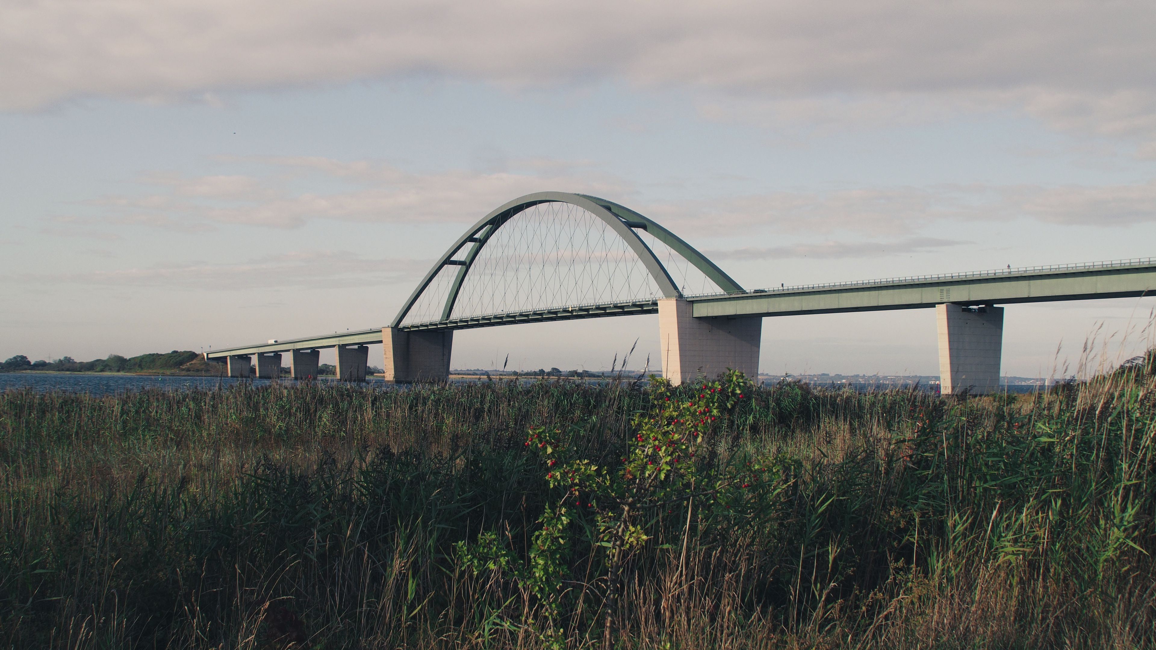 bridge, coast, river, reed, bushes, 4k, HD Wallpaper