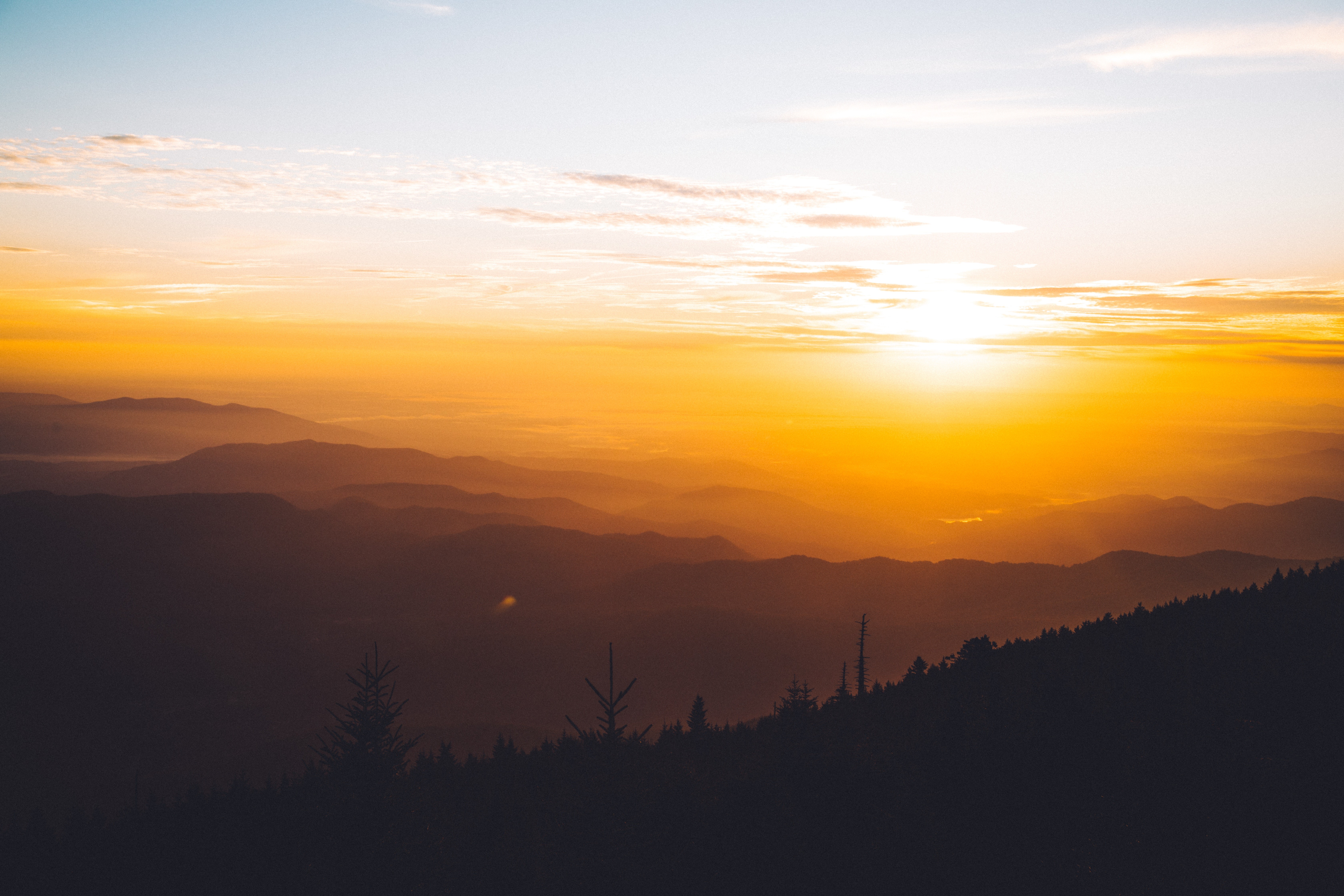 forest, sunrise, nature, sky, hd, 4k, 5k, HD Wallpaper