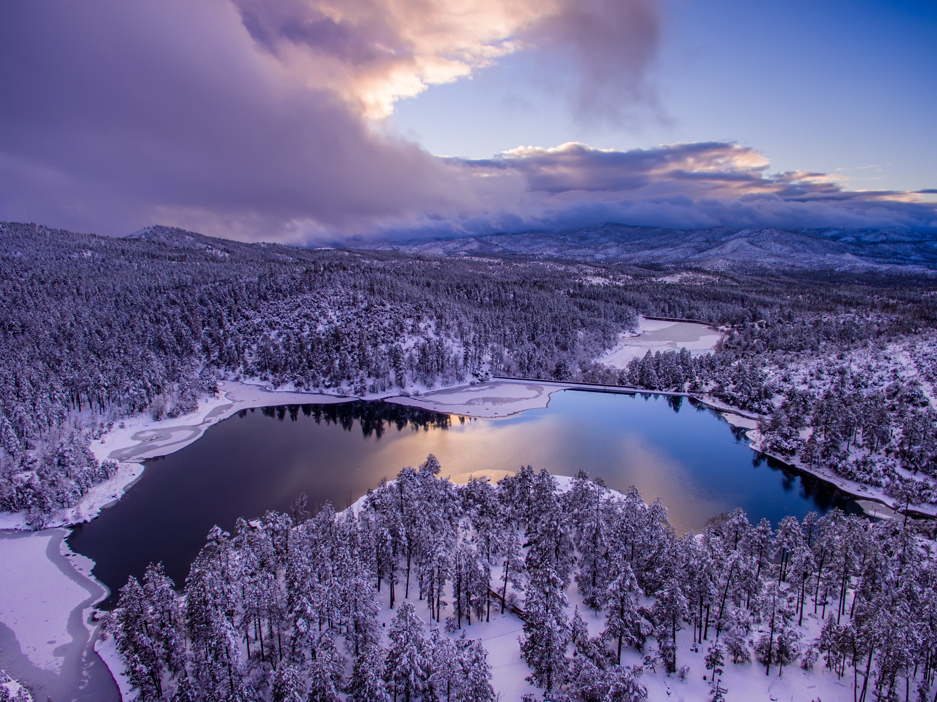 trees, nature, forest, snow, clouds, hd, 4k, landscape, HD Wallpaper