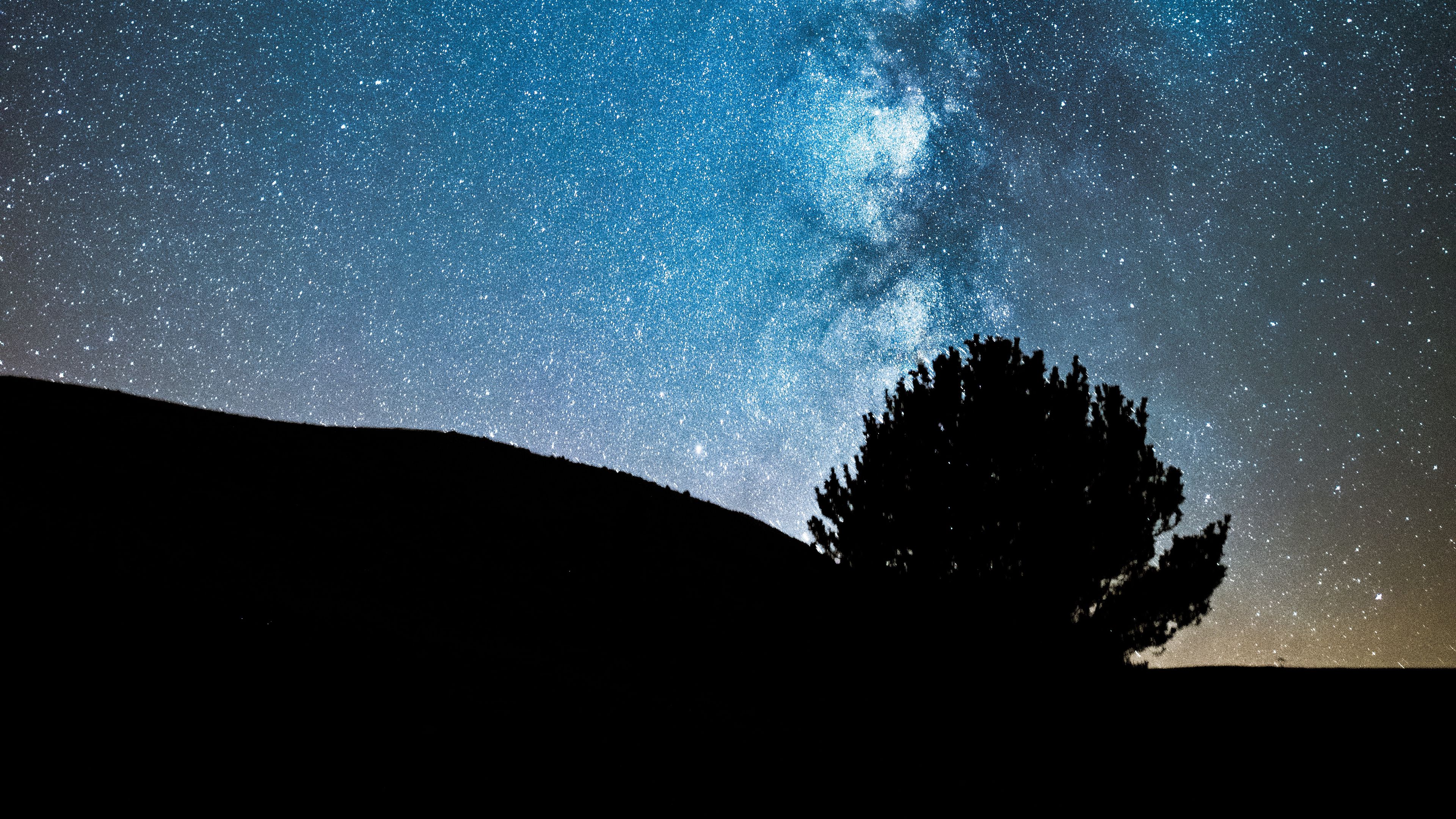 night, tree, starry sky, dark, milky way, stars, 4k, HD Wallpaper