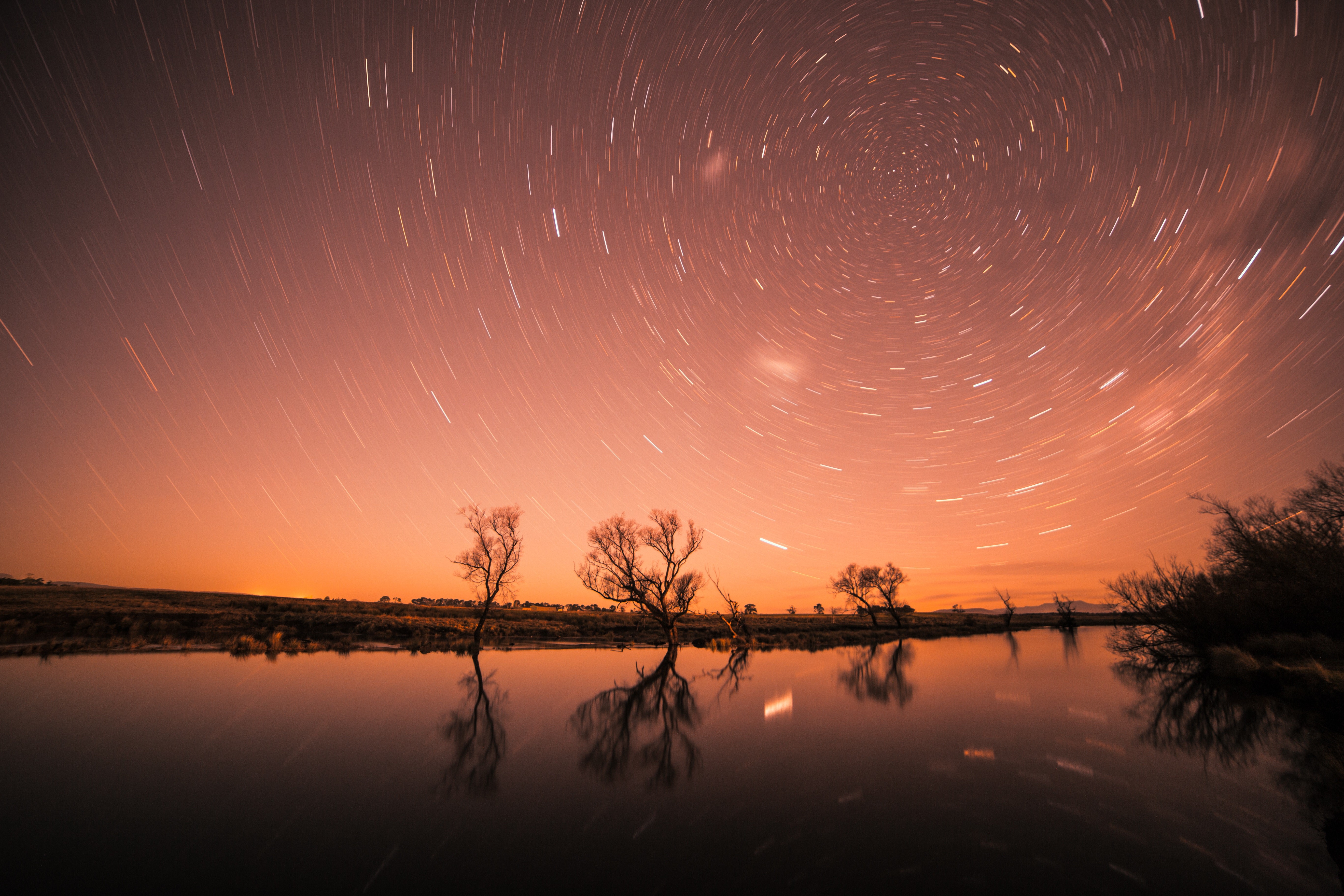 star trail, long exposure, trees, nature, hd, 4k, 5k, photography, creative, HD Wallpaper