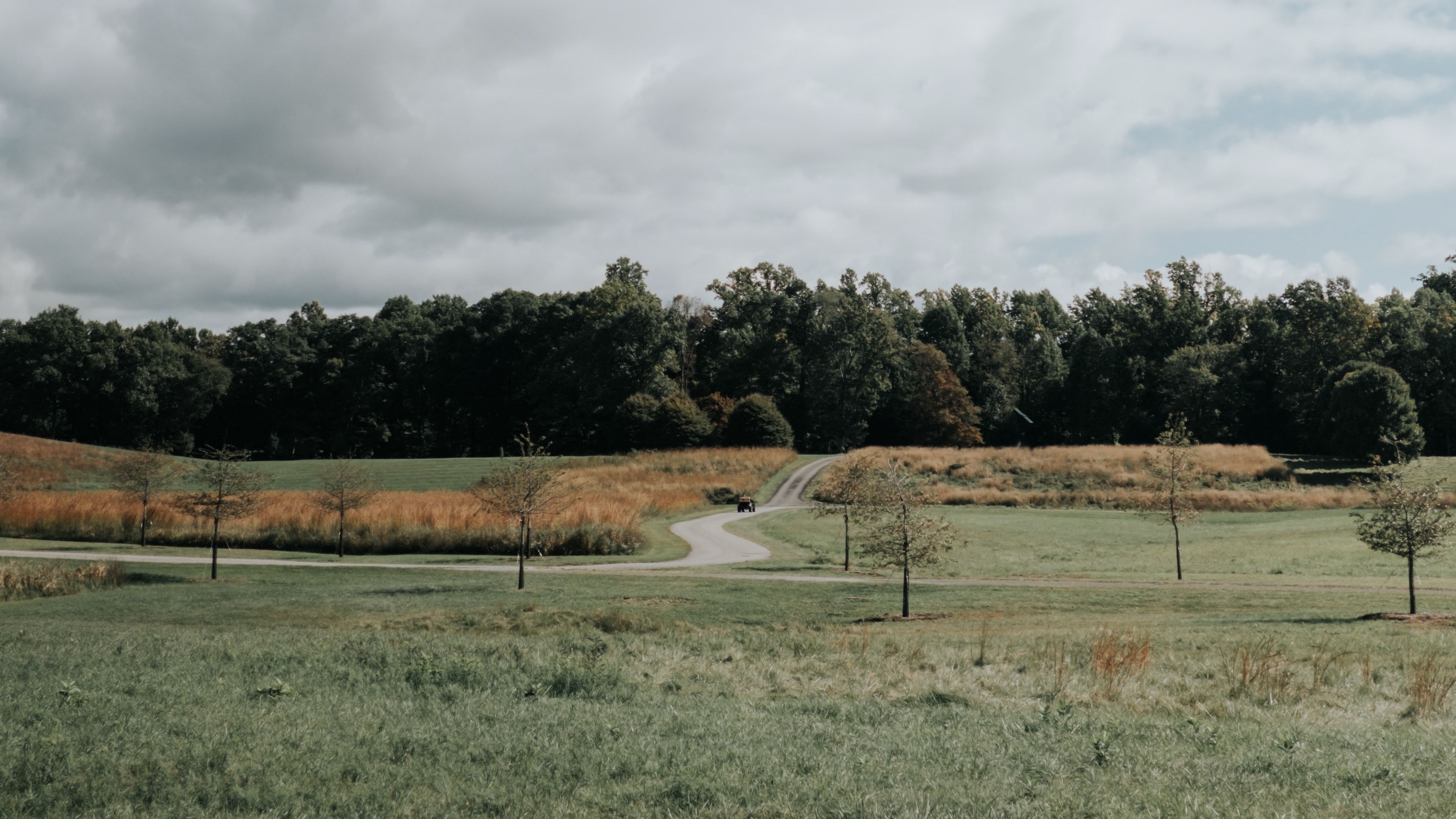 lawn, trees, road, landscape, nature, 4k, HD Wallpaper
