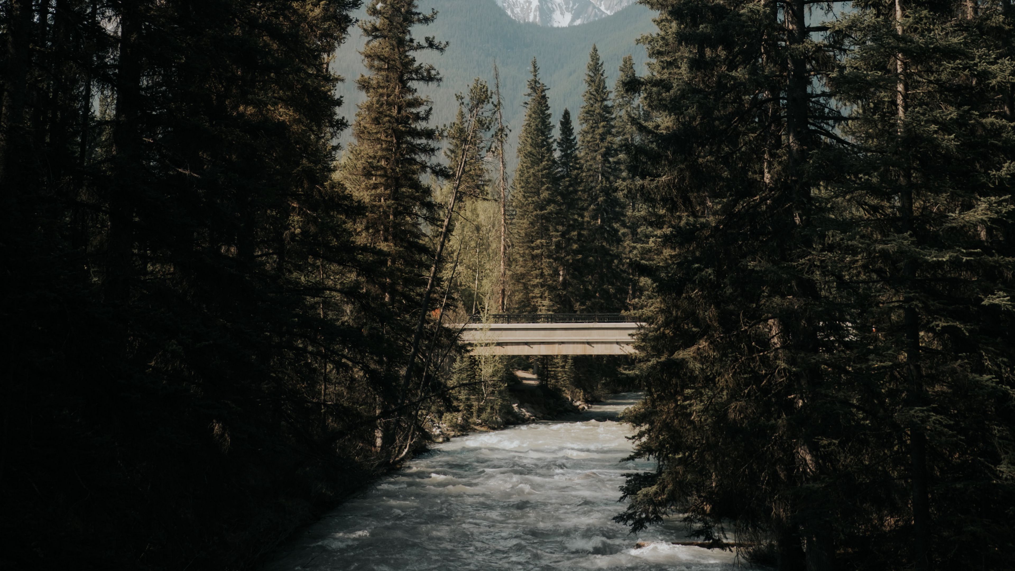 river, trees, bridge, mountains, nature, 4k, HD Wallpaper