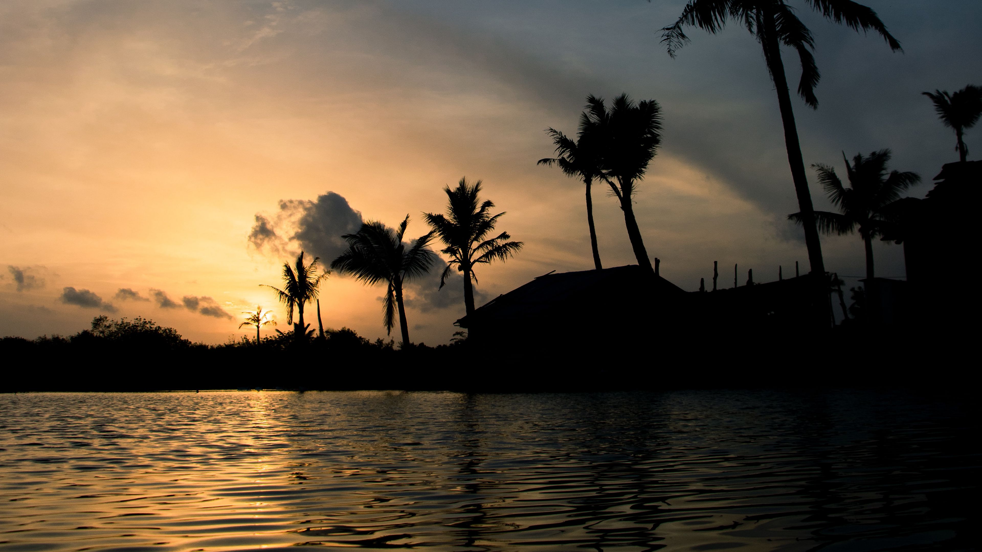 sea, building, palm, sunset, india, 4k, HD Wallpaper