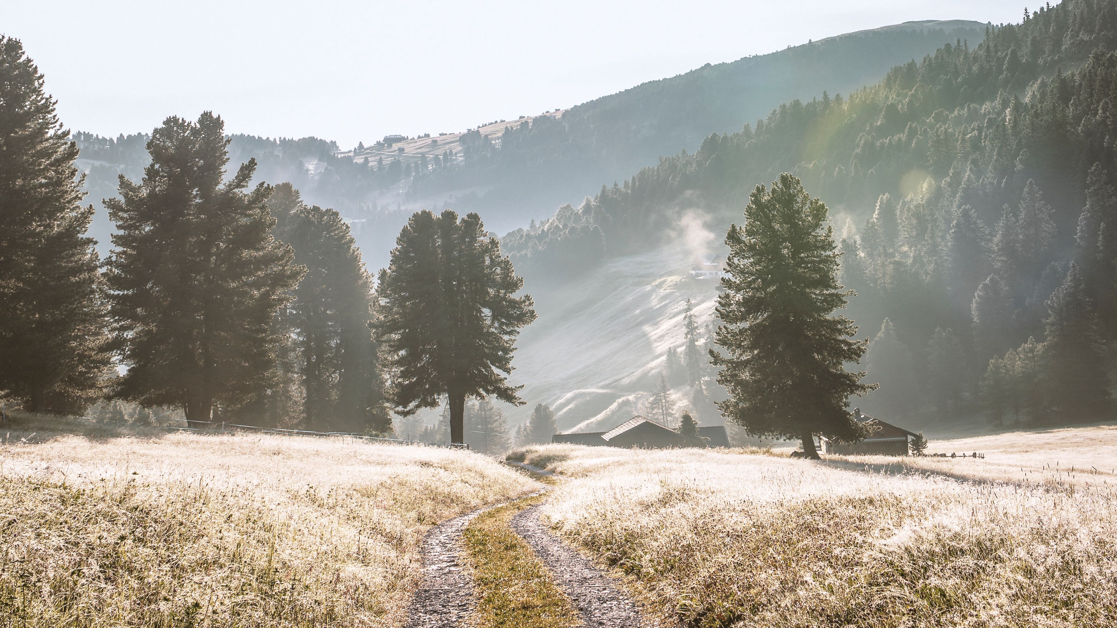 road, mountains, fog, trees, landscape, 4k, HD Wallpaper