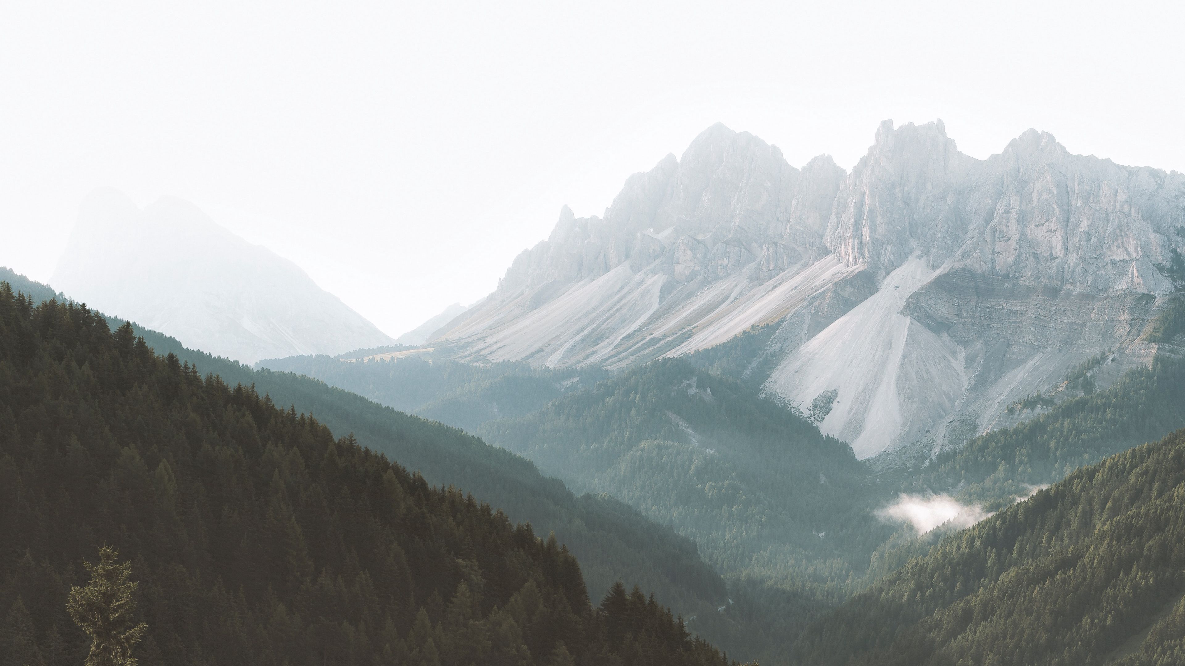 mountains, forest, fog, slopes, trees, 4k, HD Wallpaper