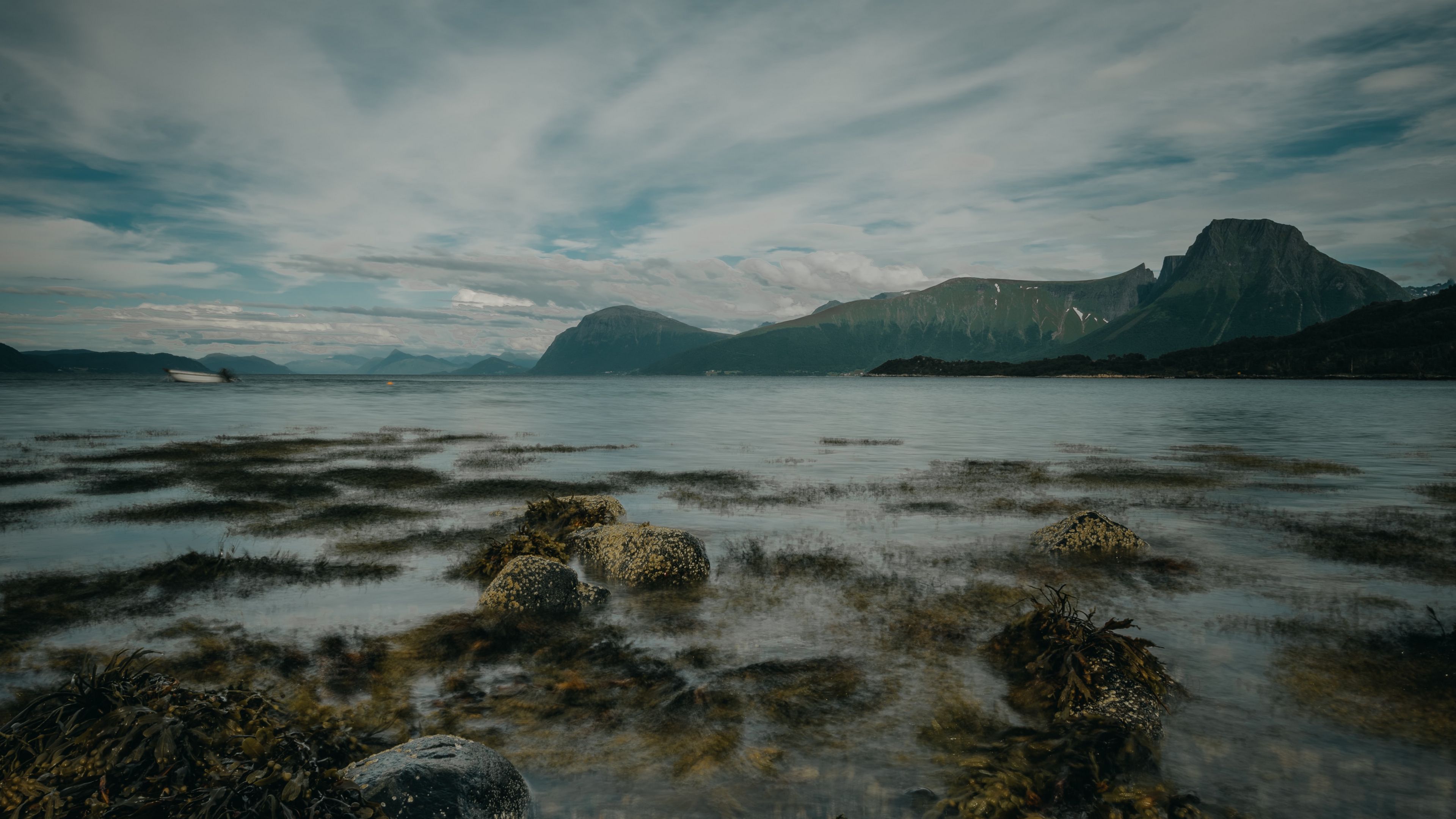 lake, mountains, shore, stones, seaweed, 4k, HD Wallpaper