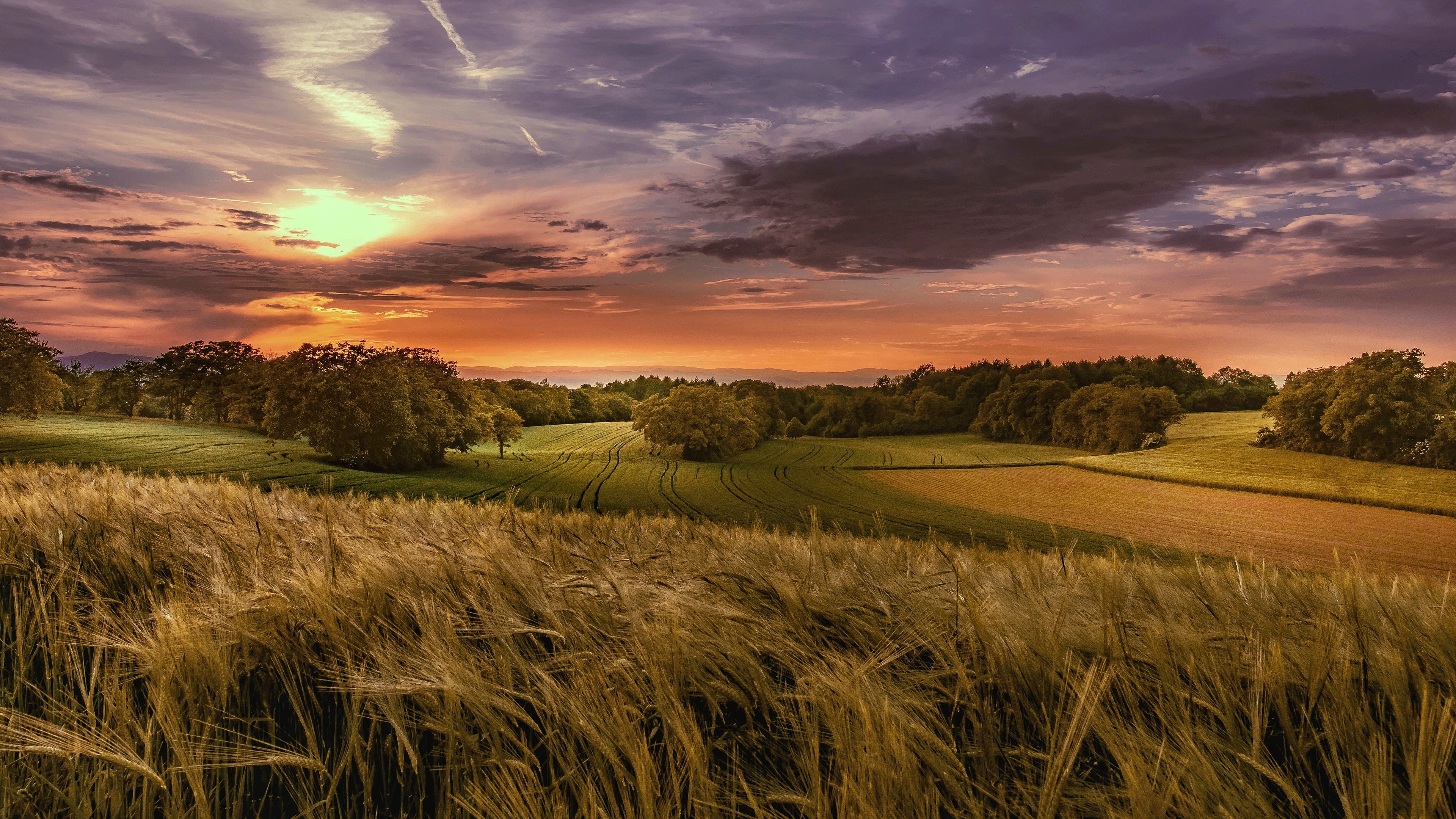 field, landscape, sky, sunlight, HD Wallpaper