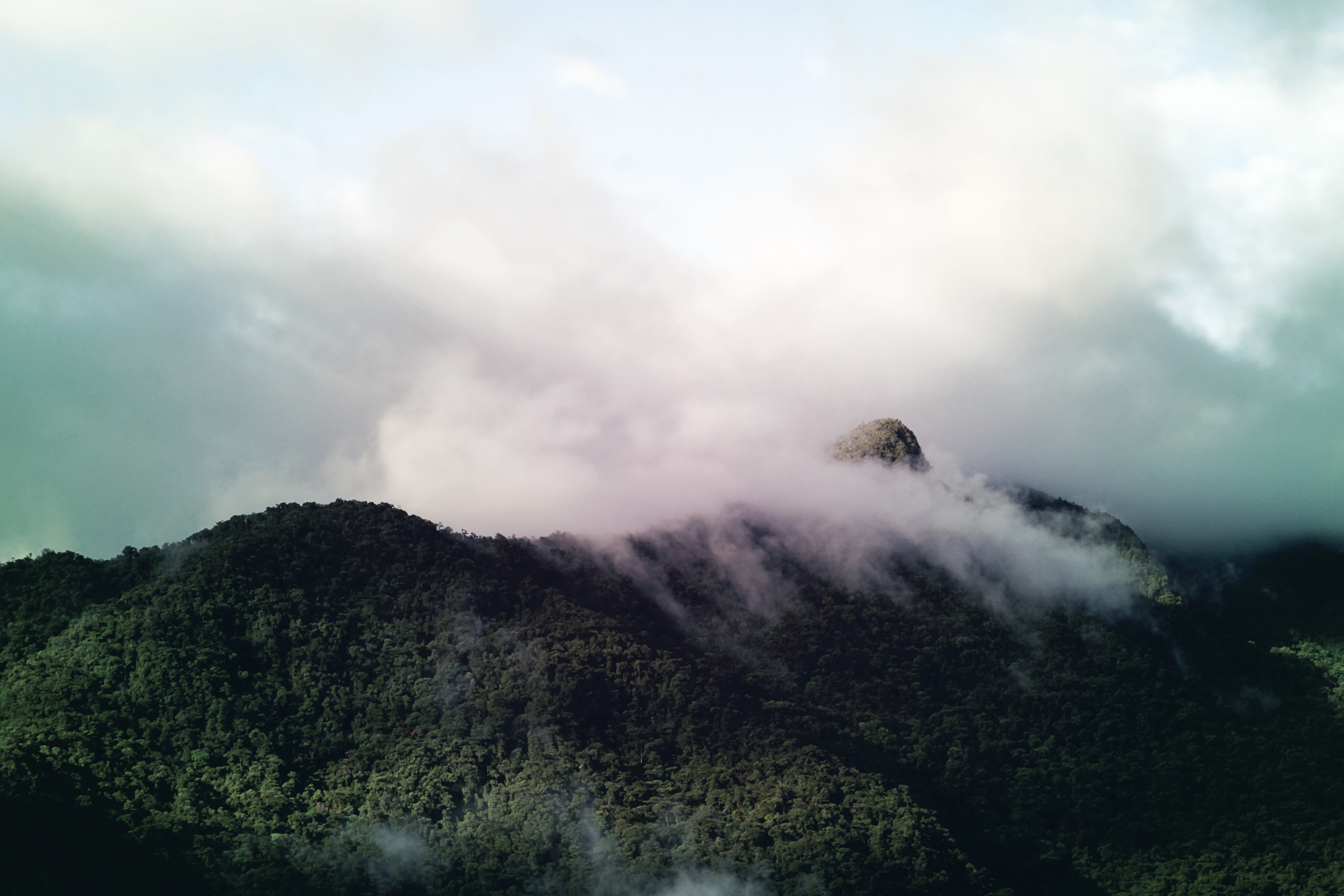 mountains, trees, forest, clouds, sky, HD Wallpaper