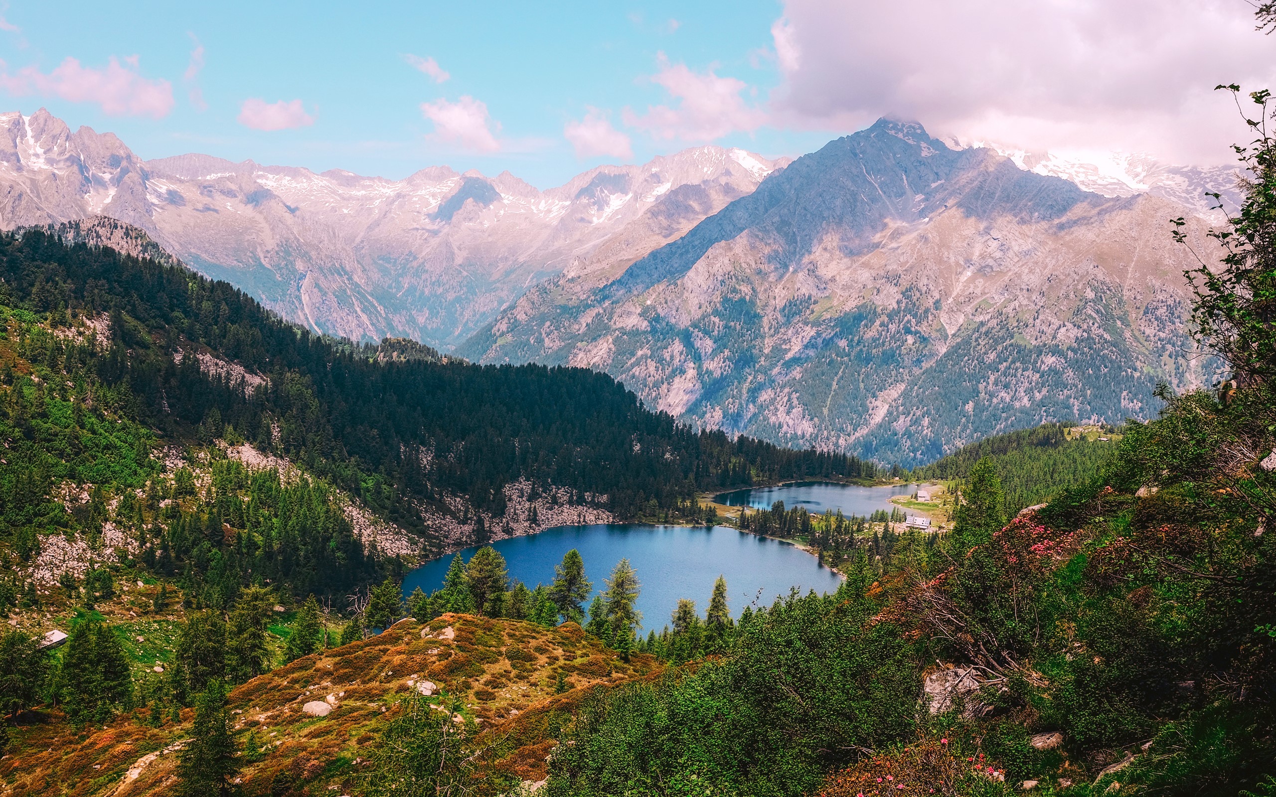 nature, forest, trees, landscape, water, lake, mountains, HD Wallpaper