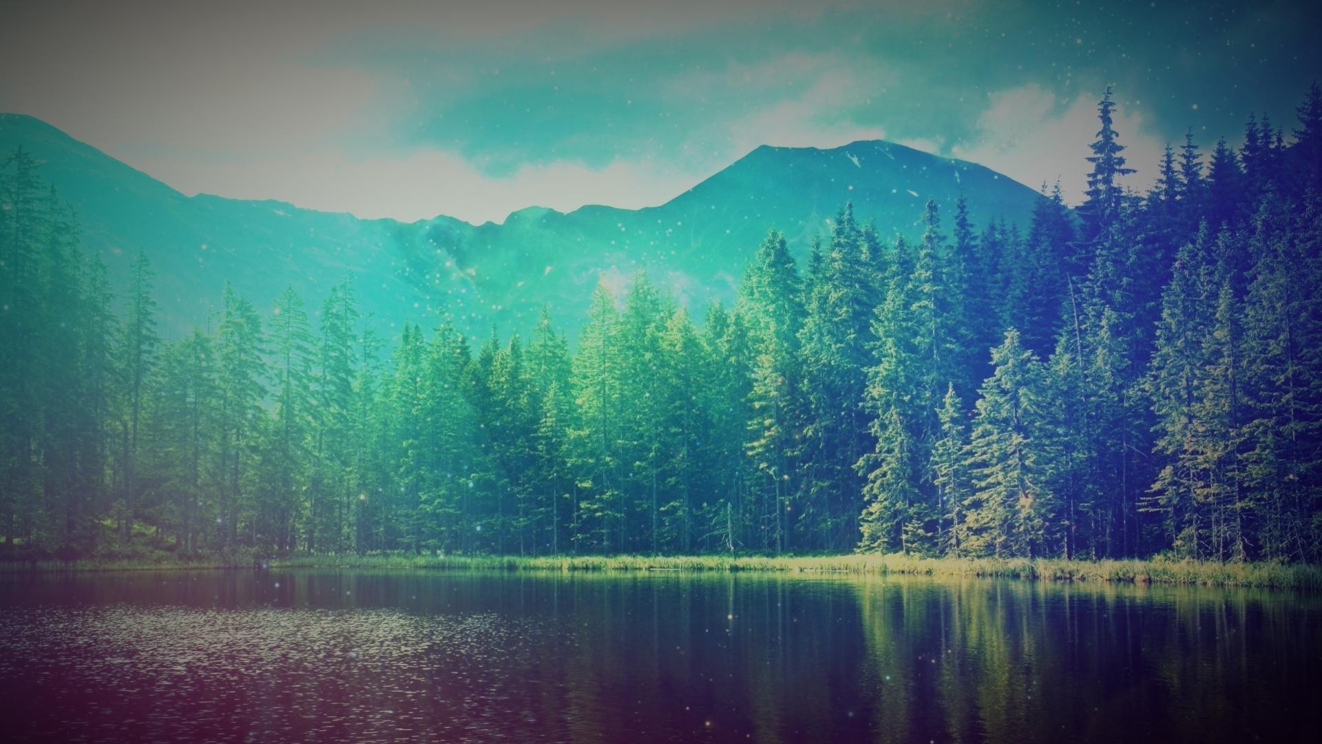 water, lake, nature, cyan, forest, trees, landscape, sea, plants, sunlight, HD Wallpaper