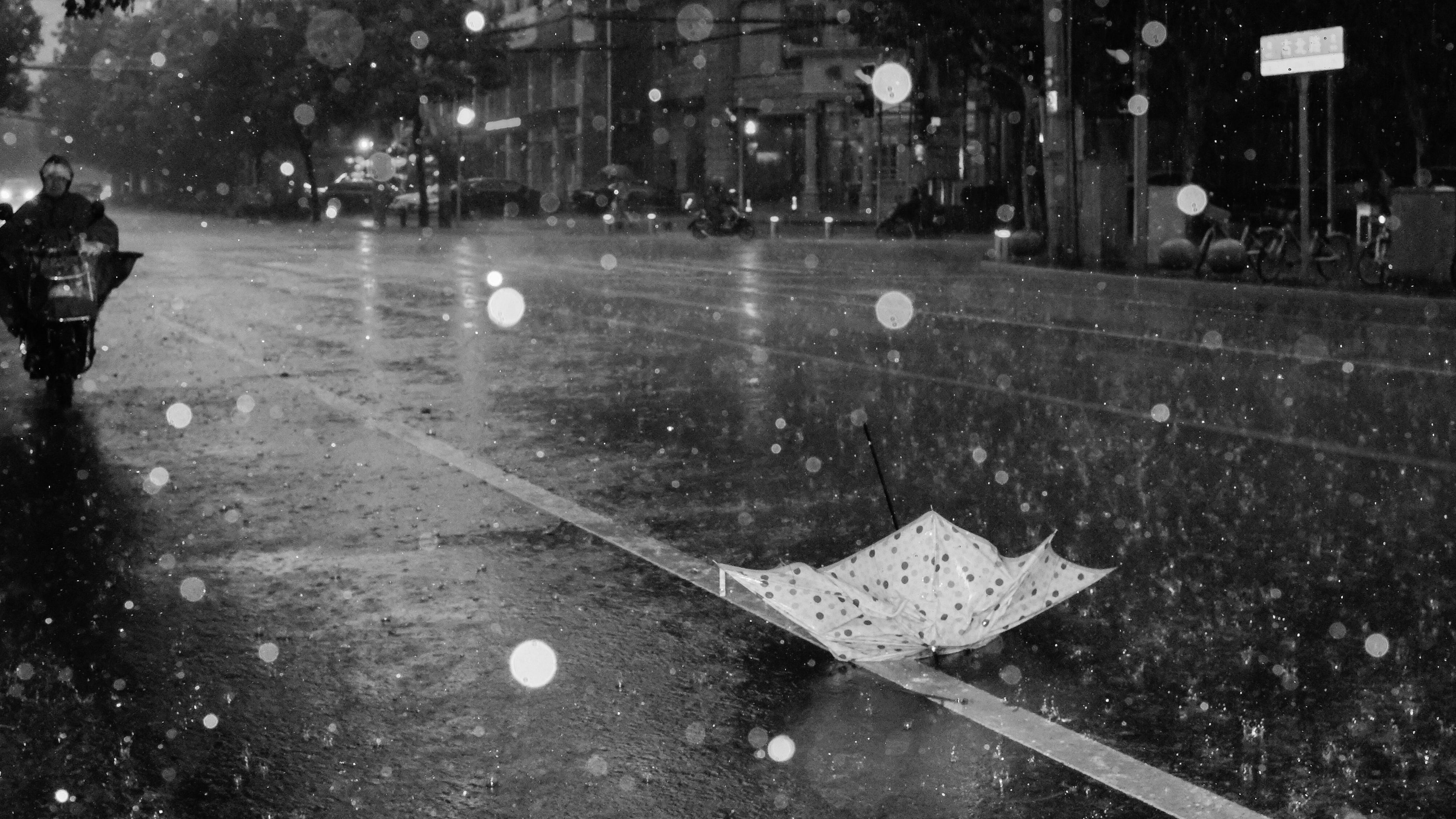 street, rain, bw, umbrella, asphalt, wet, 4k, HD Wallpaper