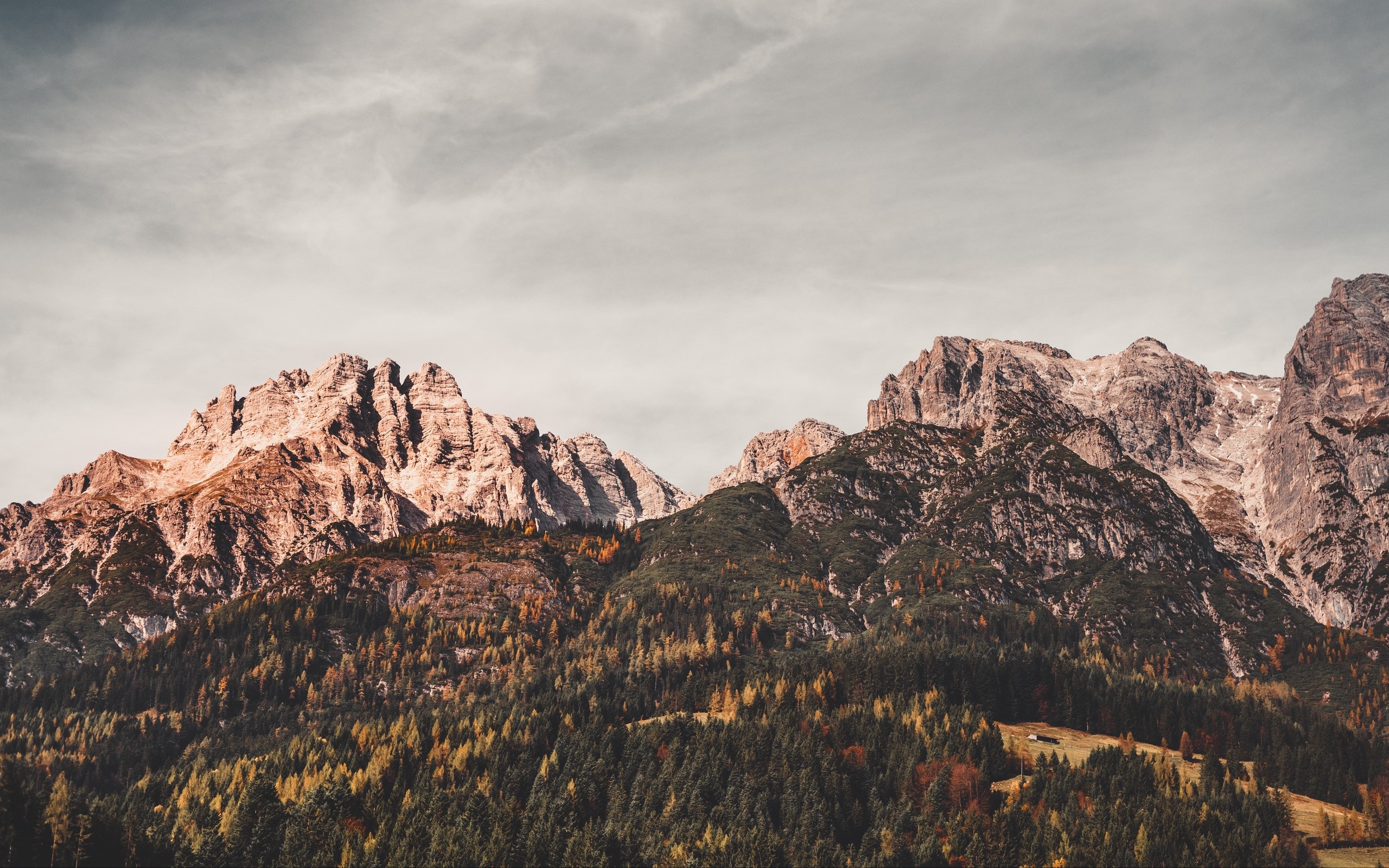 Austria, mountains, trees, landscape, HD Wallpaper