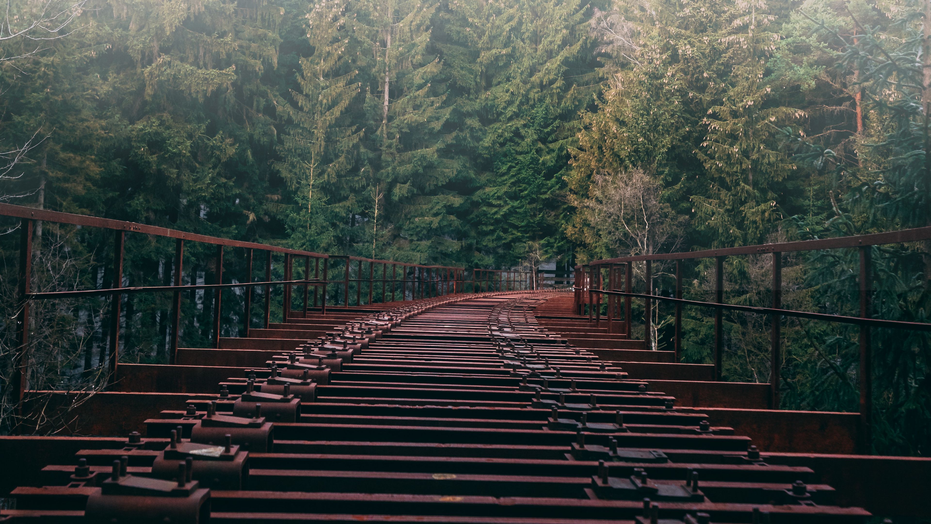 bridge, forest, fog, trees, 4k, HD Wallpaper