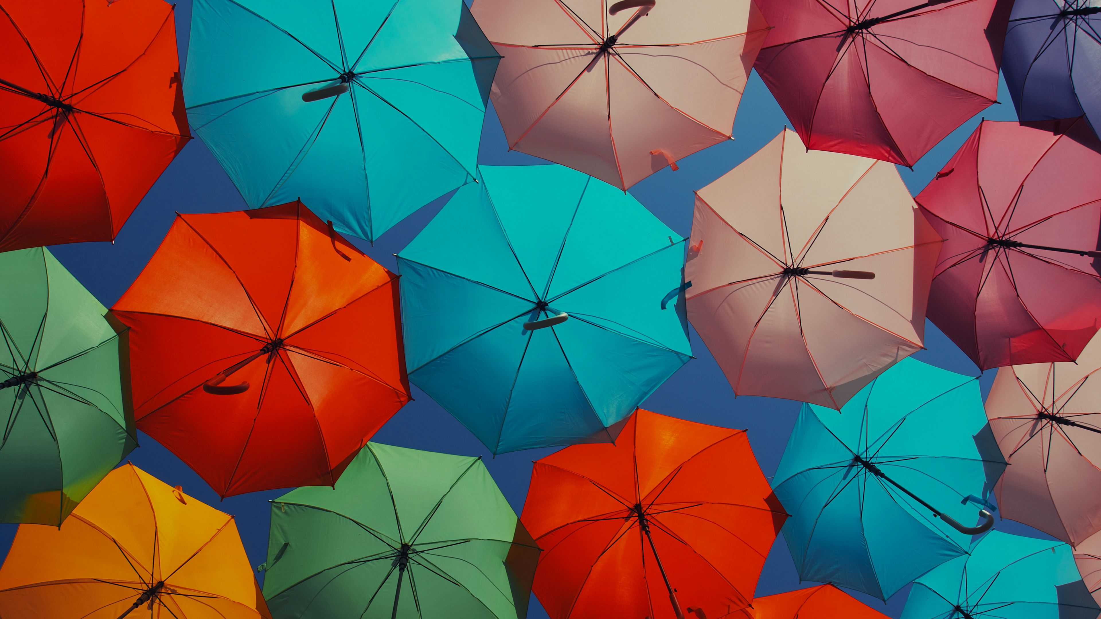 umbrellas, colorful, decoration, street, 4k, HD Wallpaper