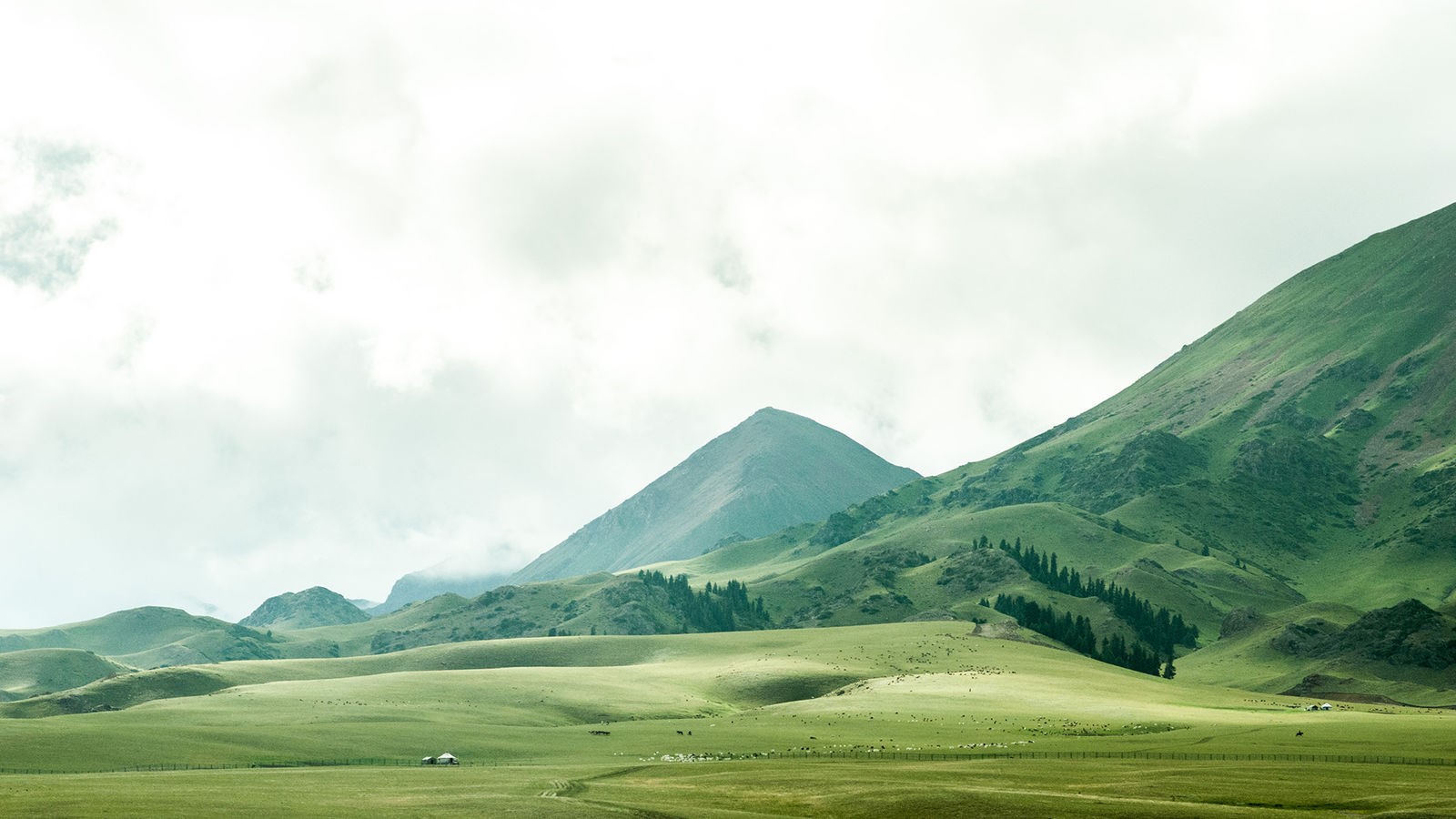 nature, mountains, field, landscape, HD Wallpaper