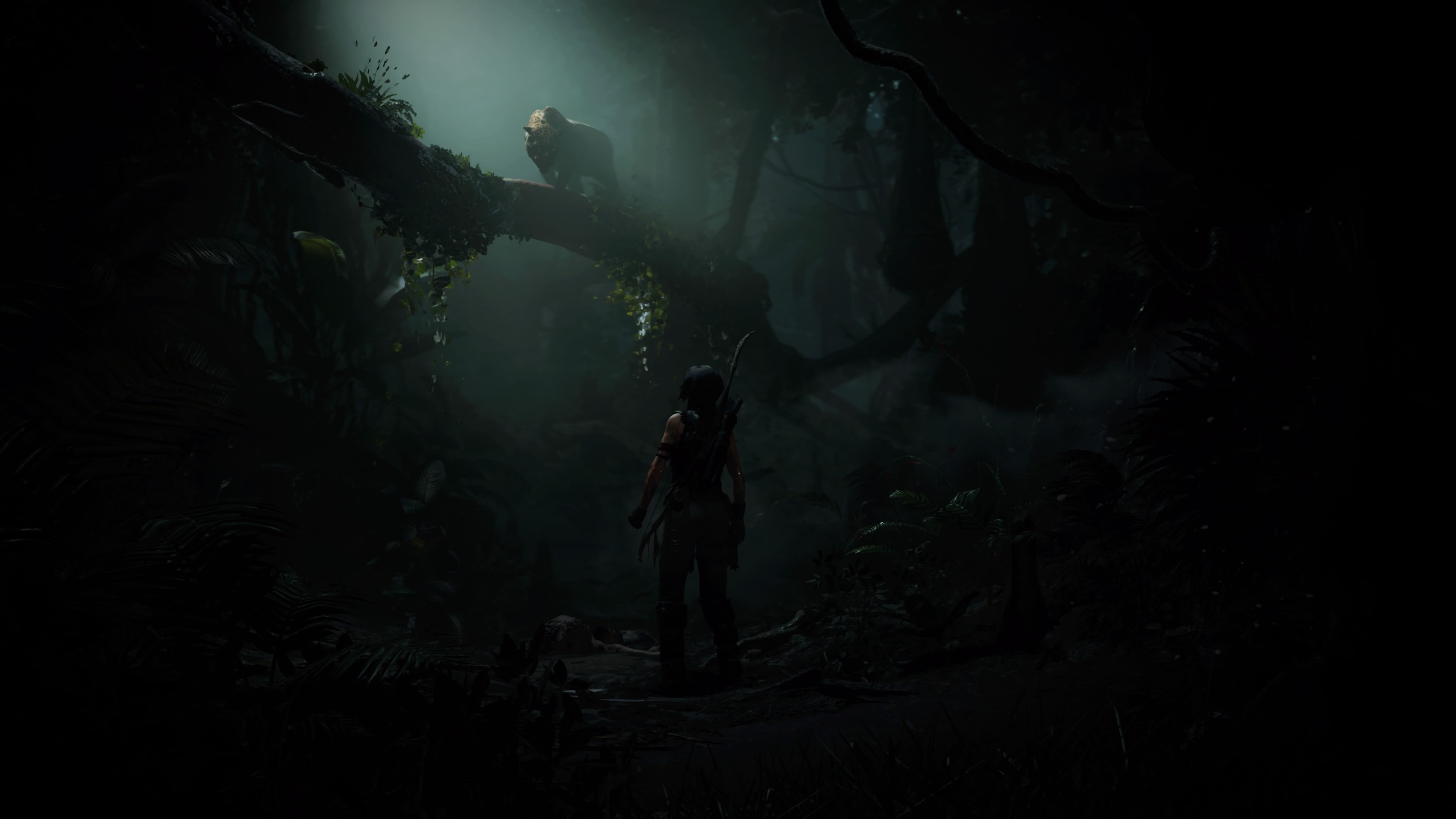 Tomb Raider, jungle, Lara Croft, video games, screen shot, HD Wallpaper