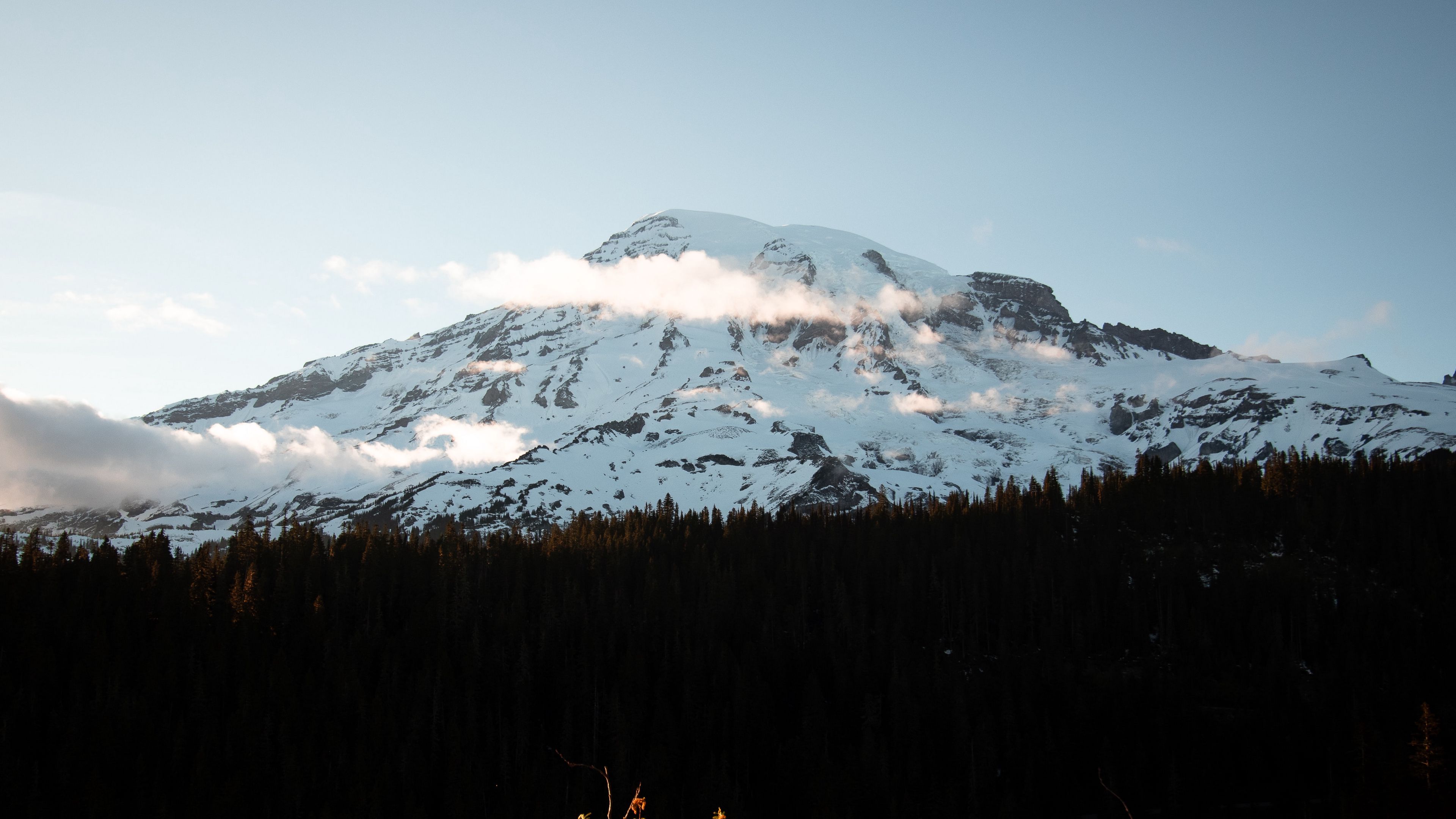 mountain, peak, snowy, forest, trees, 4k, HD Wallpaper