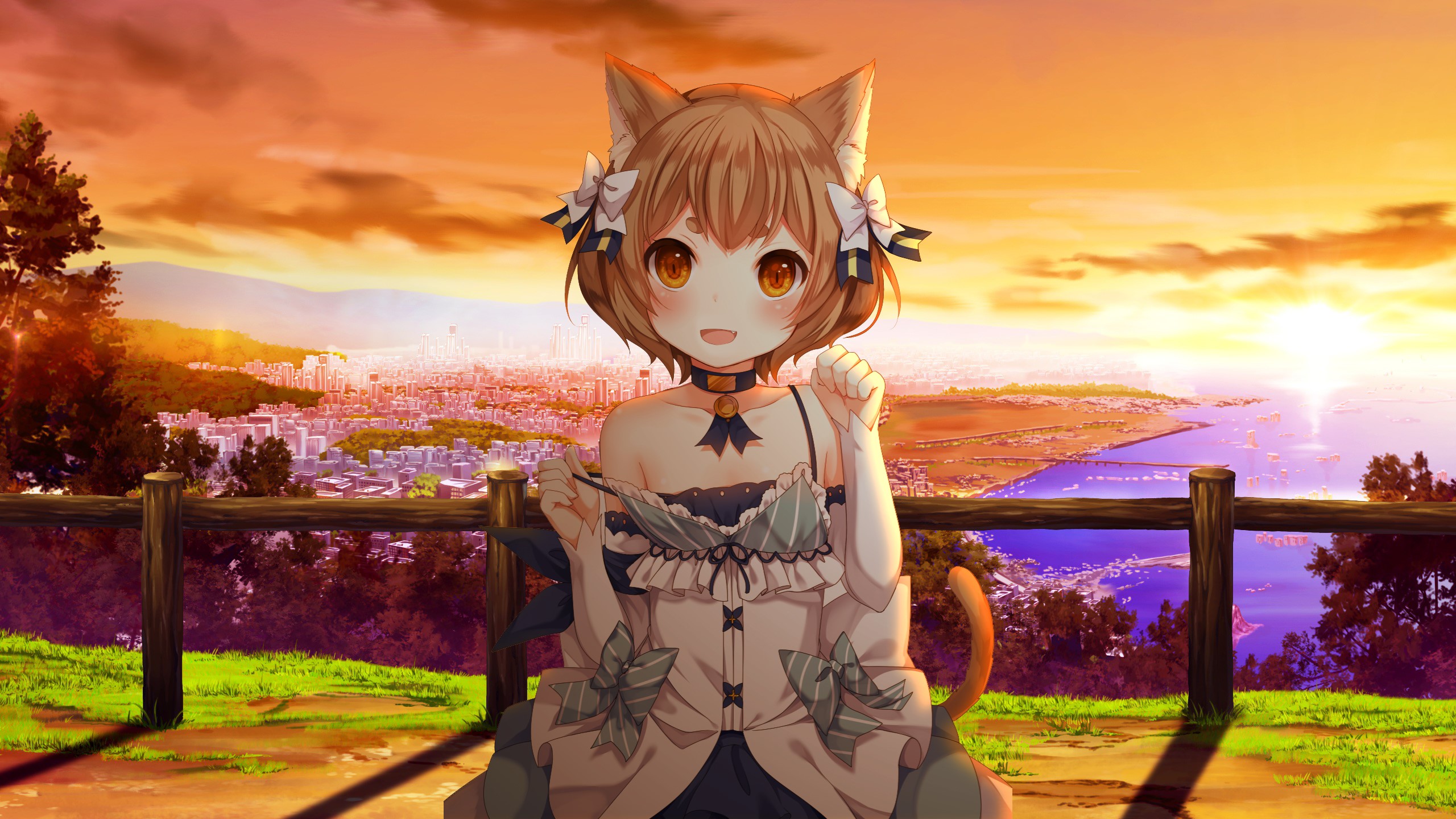 anime, anime boys, nekomimi, HD Wallpaper