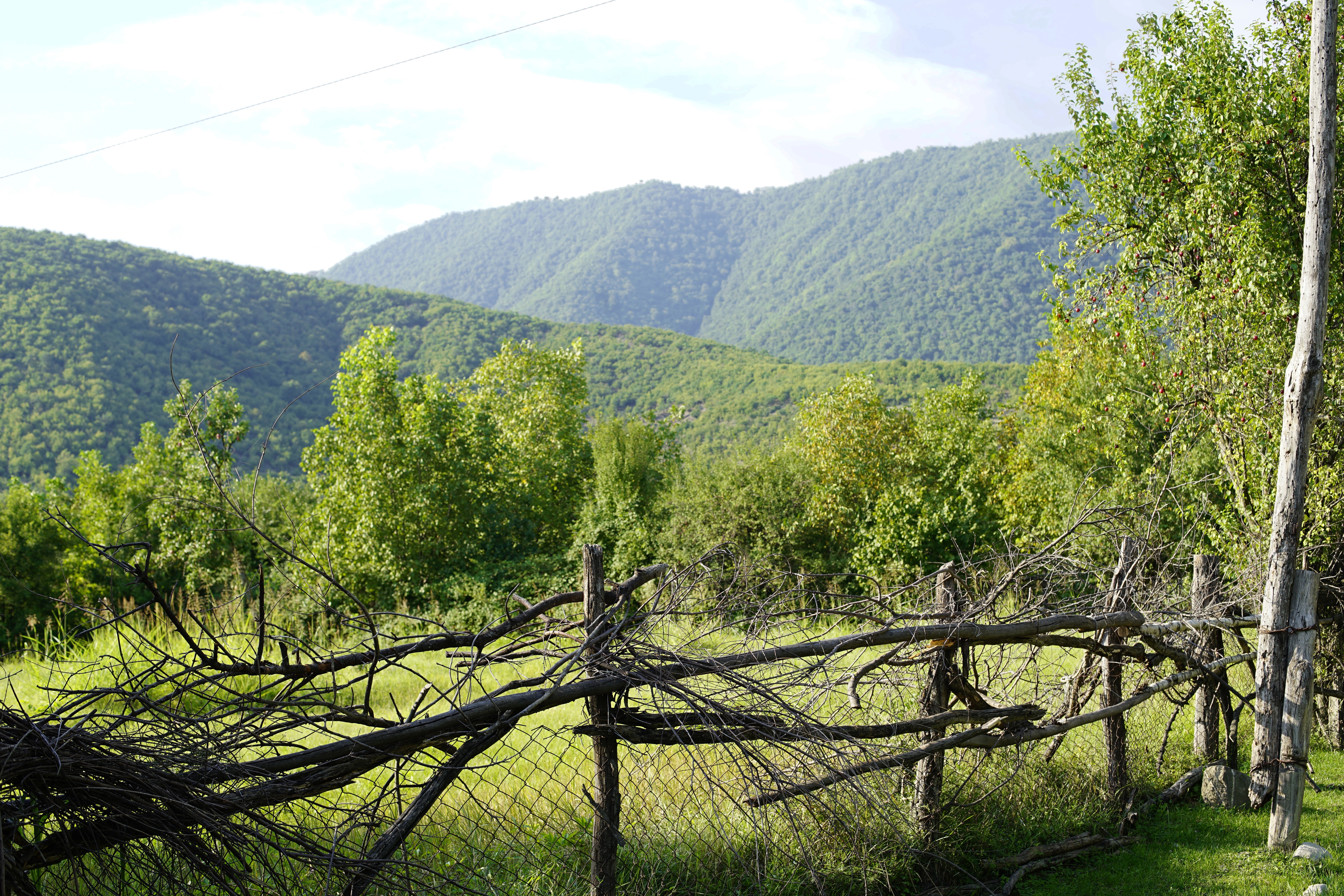 nature, landscape, fence, hills, green, grass, HD Wallpaper