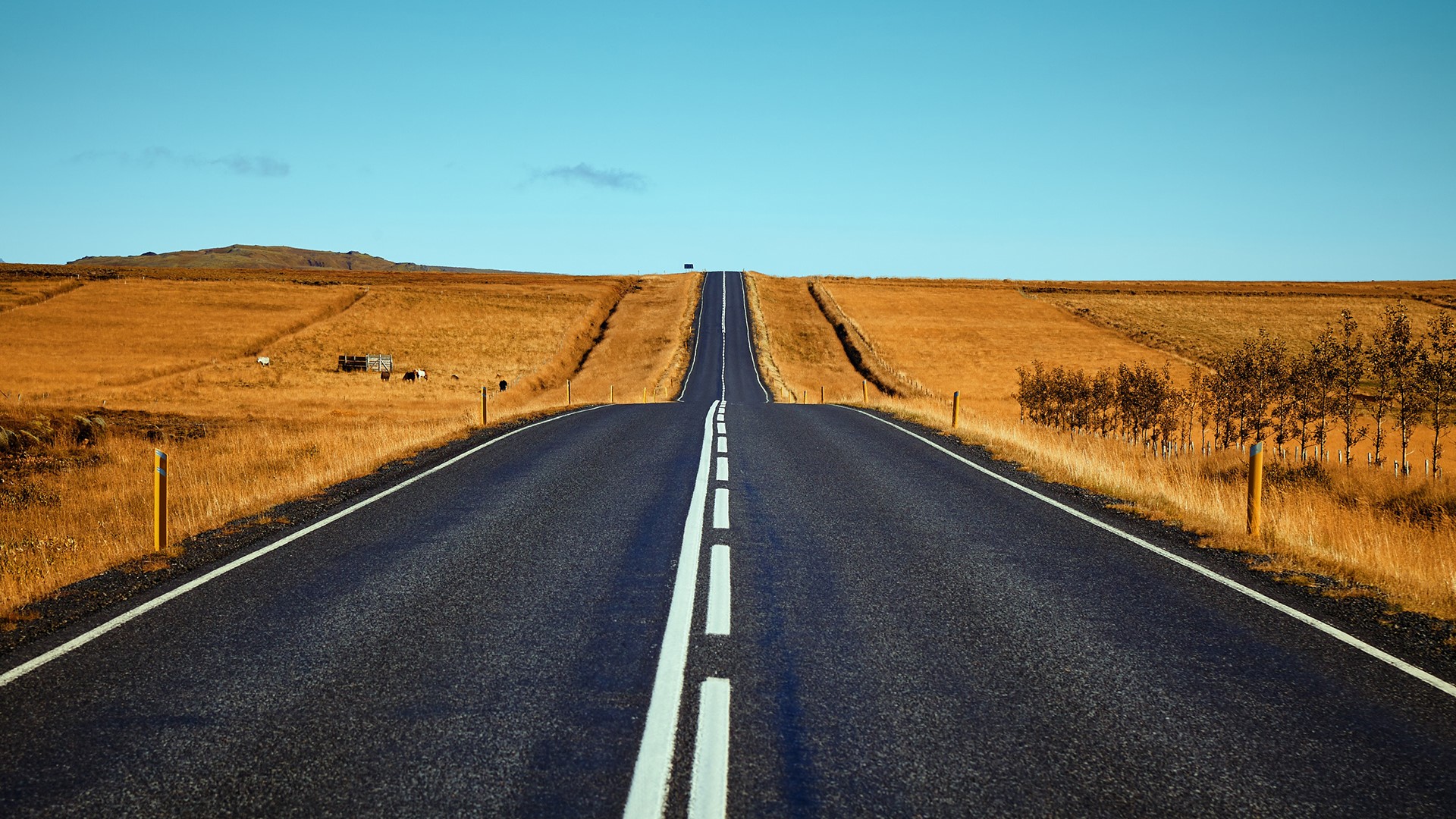 road, photography, field, wheat, landscape, HD Wallpaper
