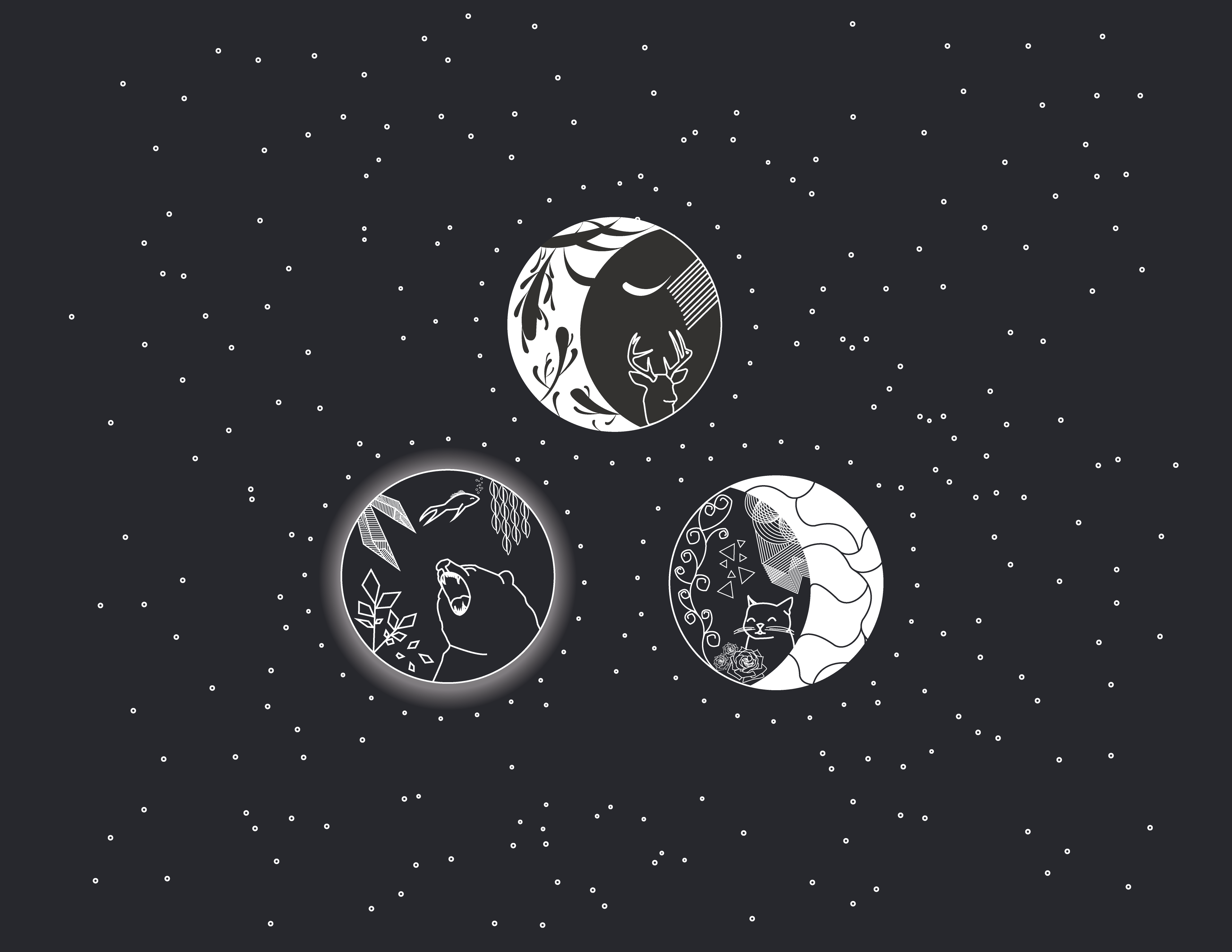 Moon, cat eyes, bears, deer, stars, abstract, fish, lines, pattern, rose, moon rays, flowers, HD Wallpaper
