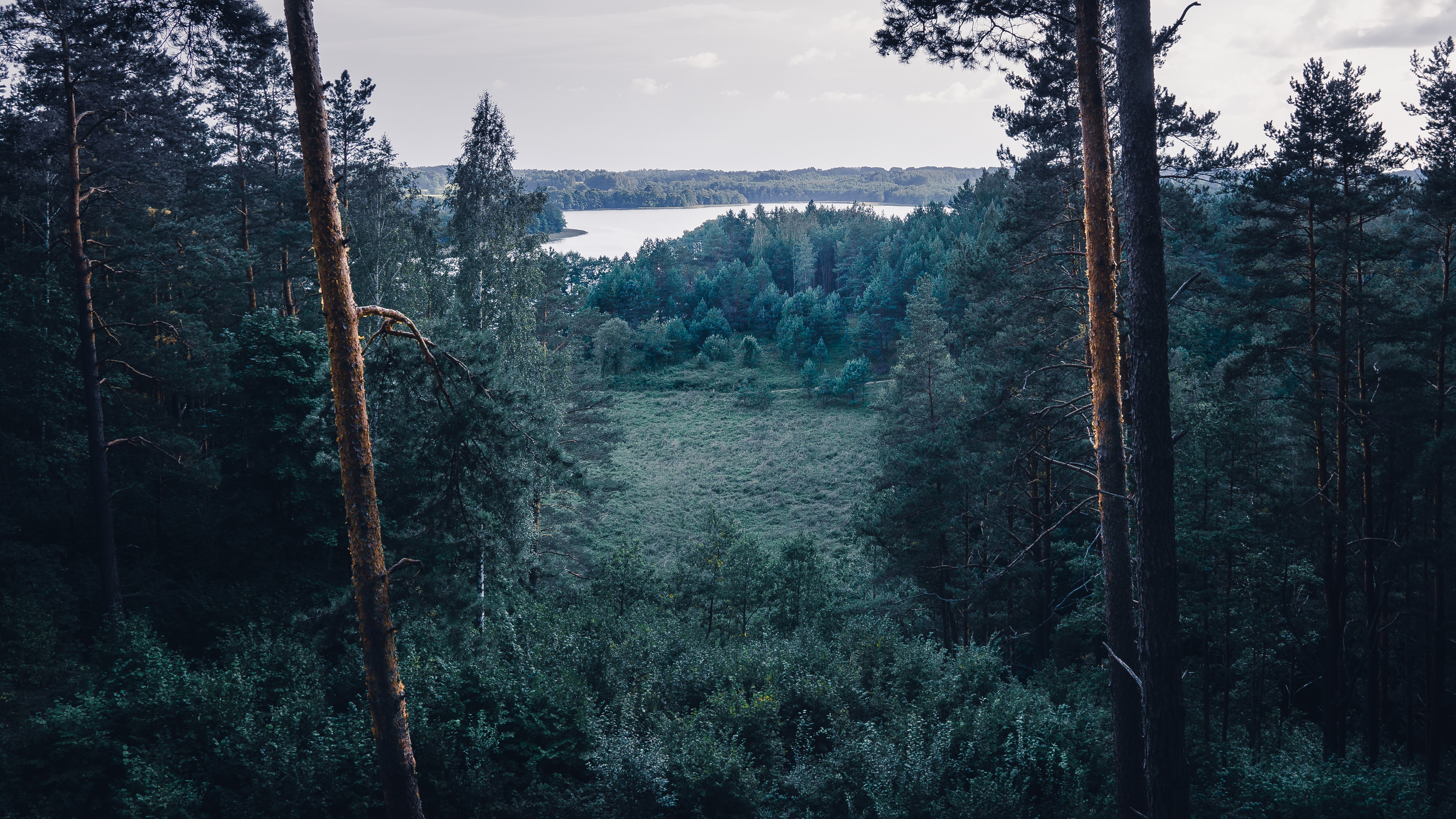 landscape, forest, Lithuania, HD Wallpaper