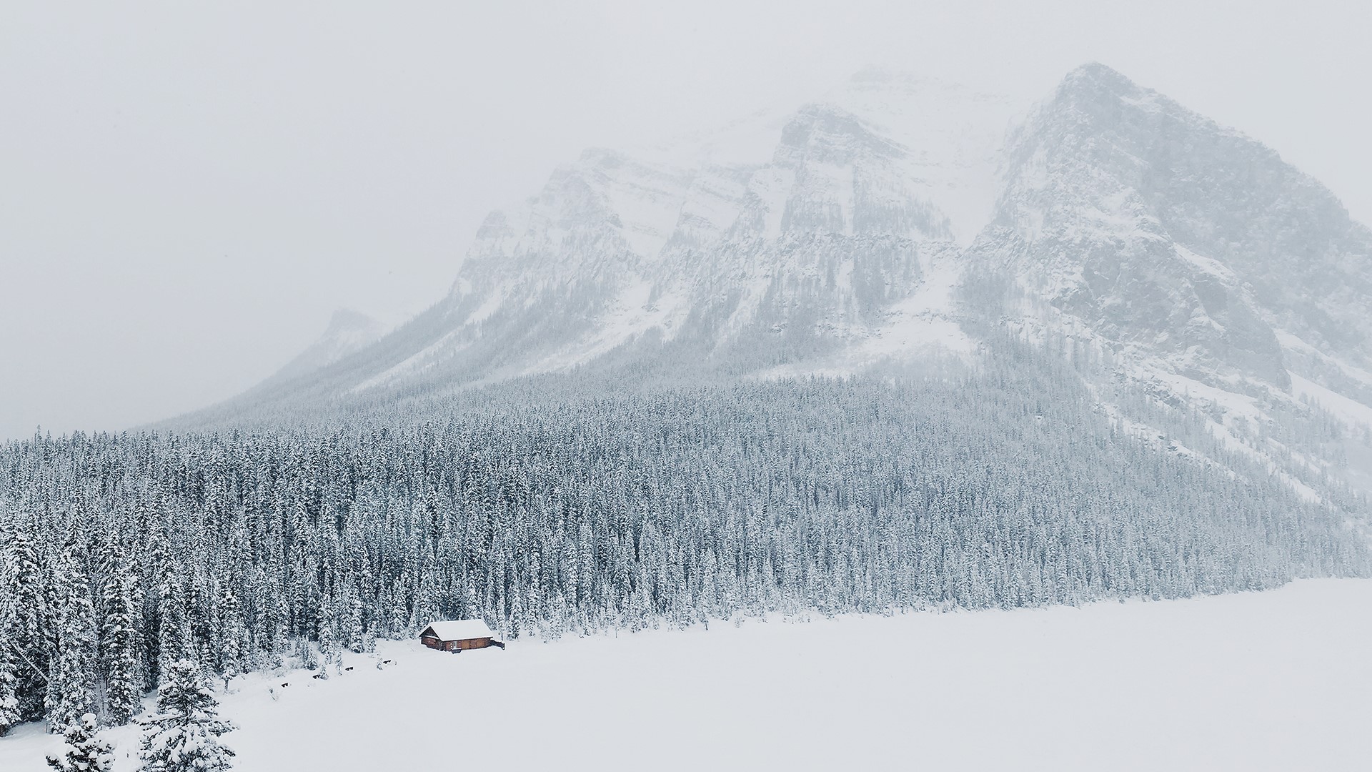 snow, cabin, trees, HD Wallpaper