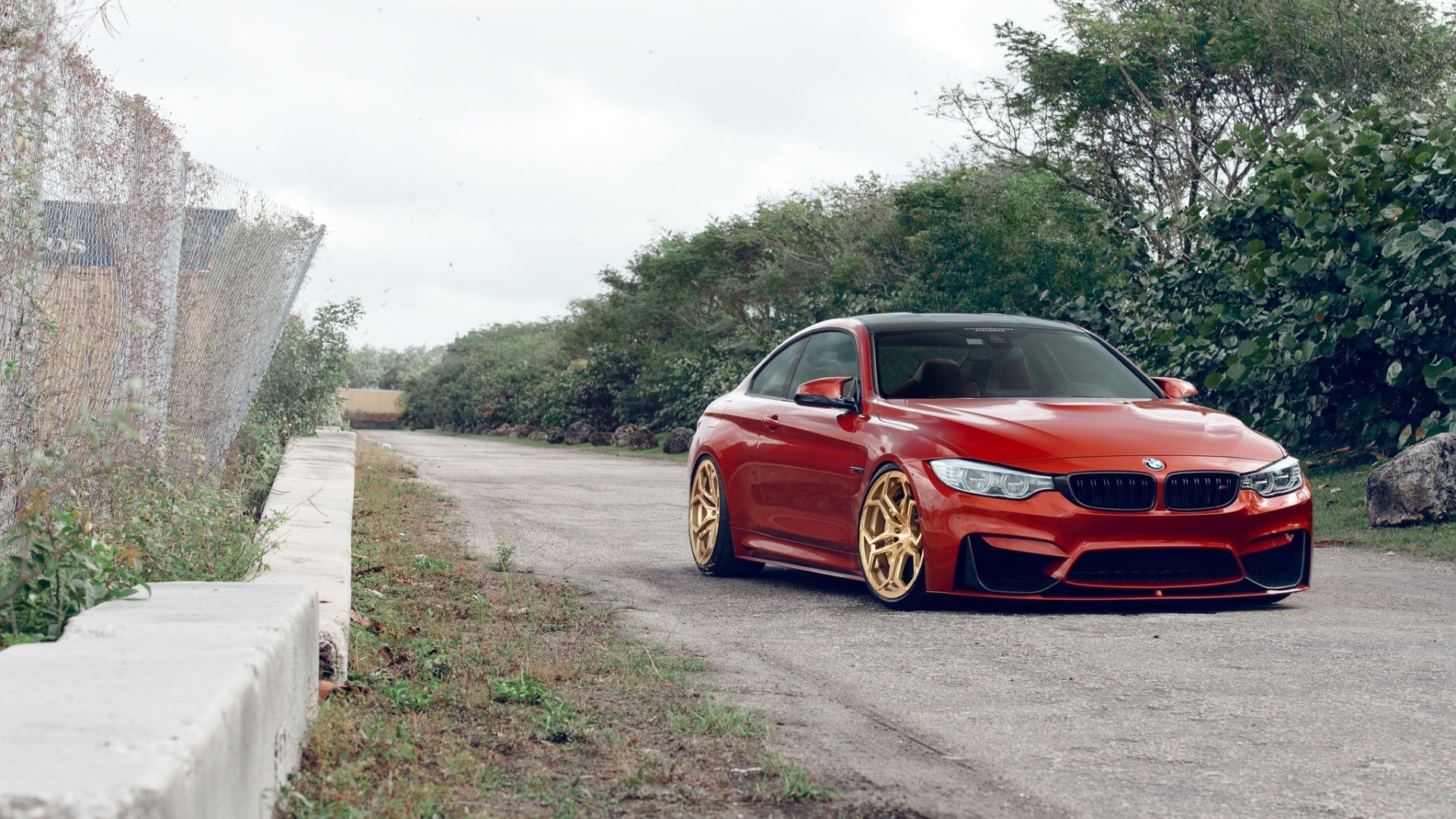 car, BMW, BMW M4, colored wheels, HD Wallpaper