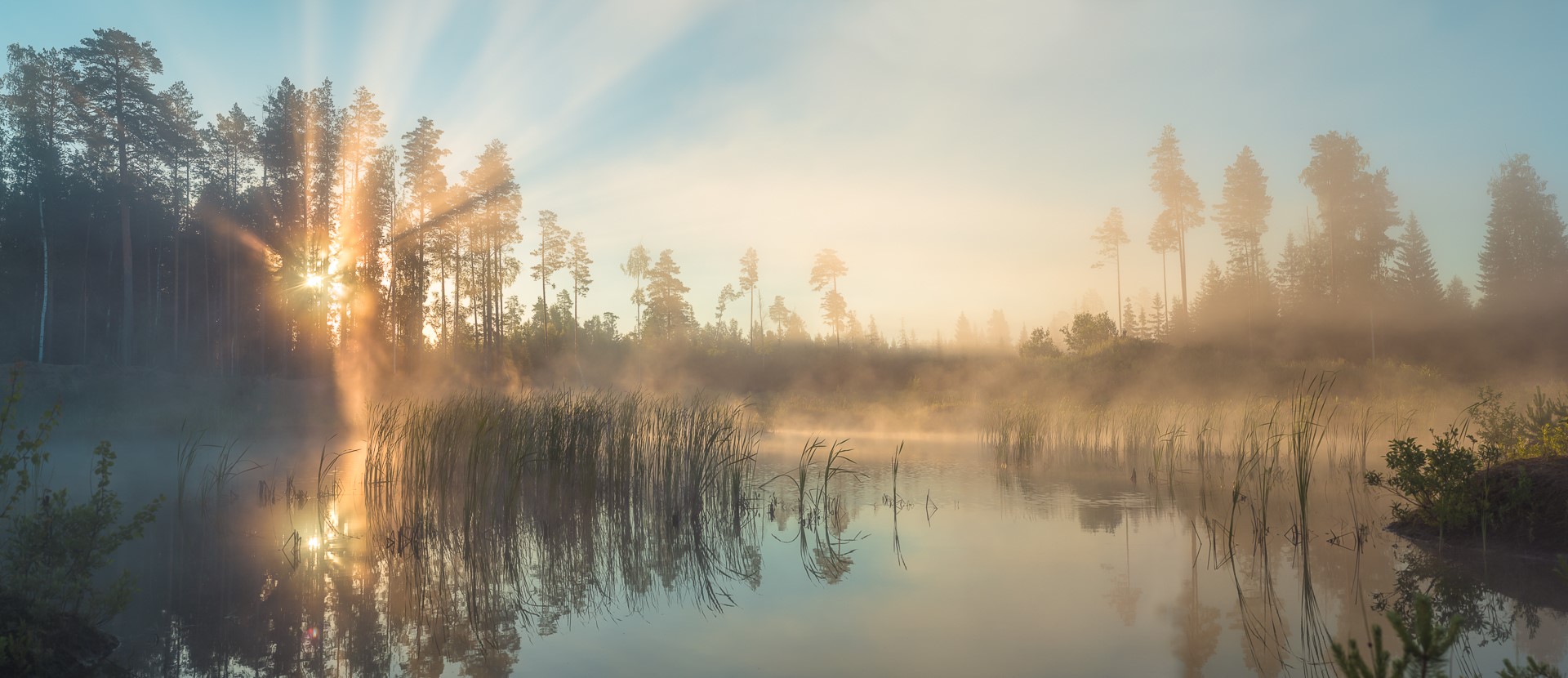 sunset, water, forest, mist, HD Wallpaper