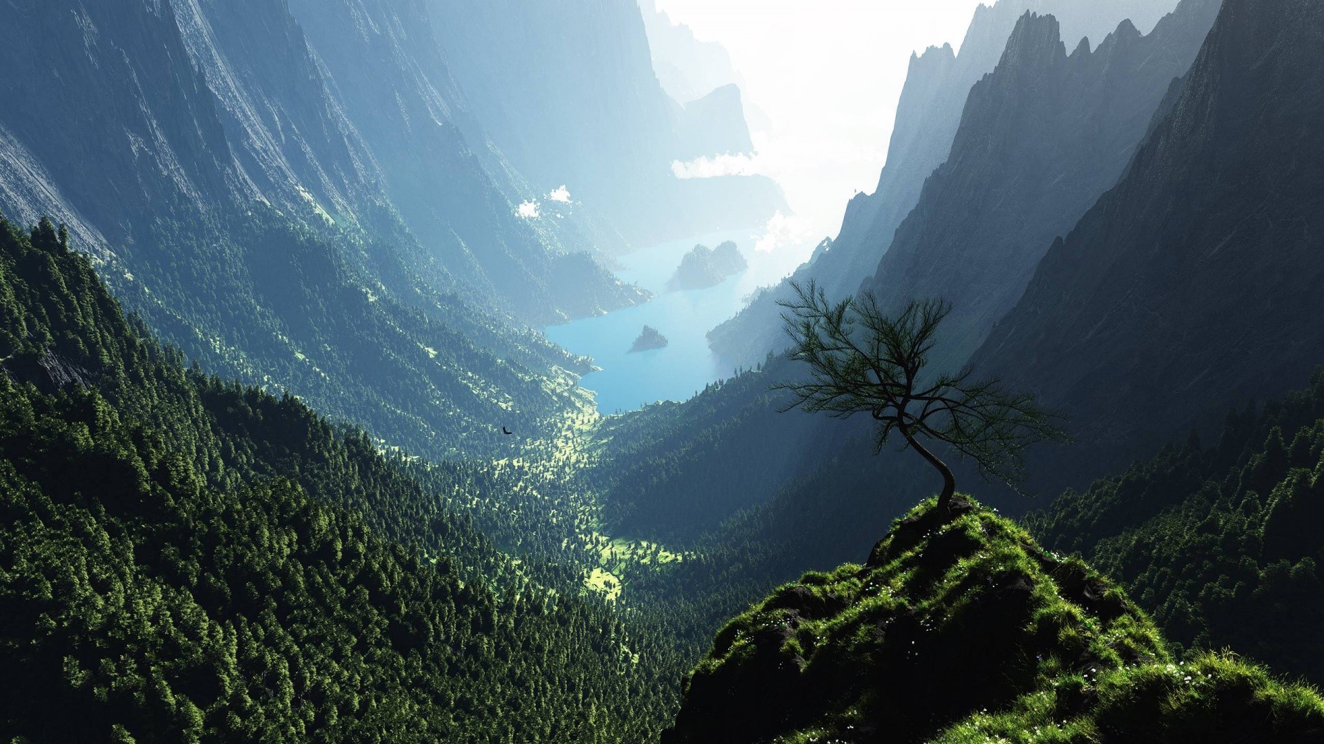 trees, forest, mountains, grass, nature, lake, HD Wallpaper