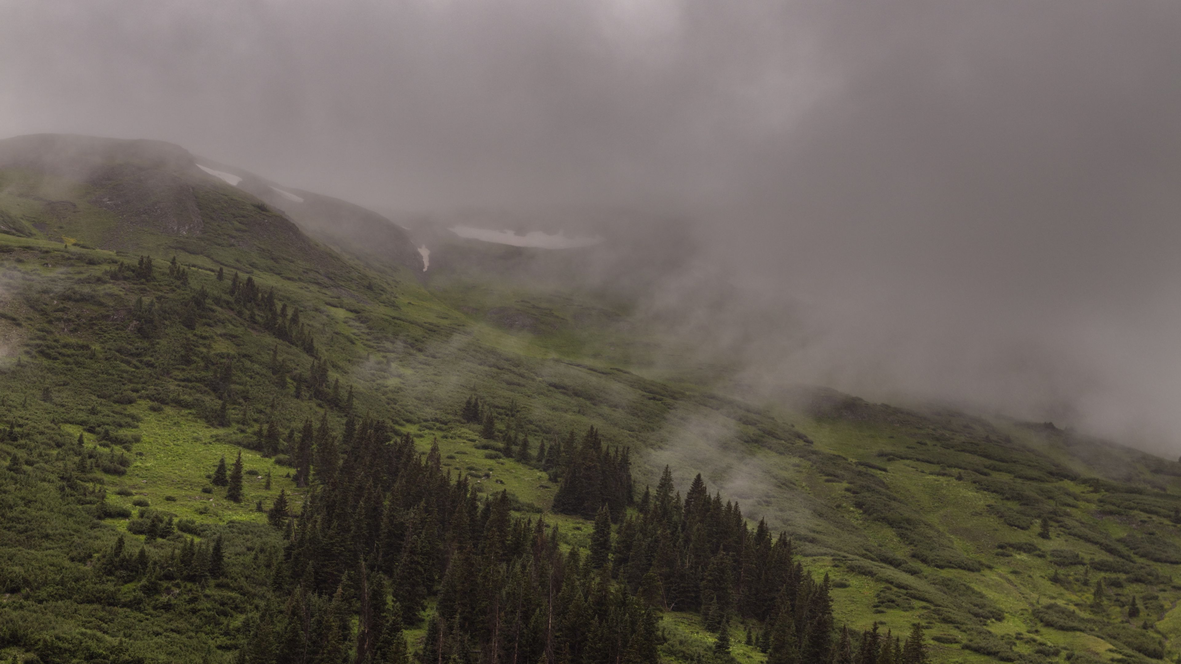 mountains, trees, fog, clouds, slope, 4k, HD Wallpaper