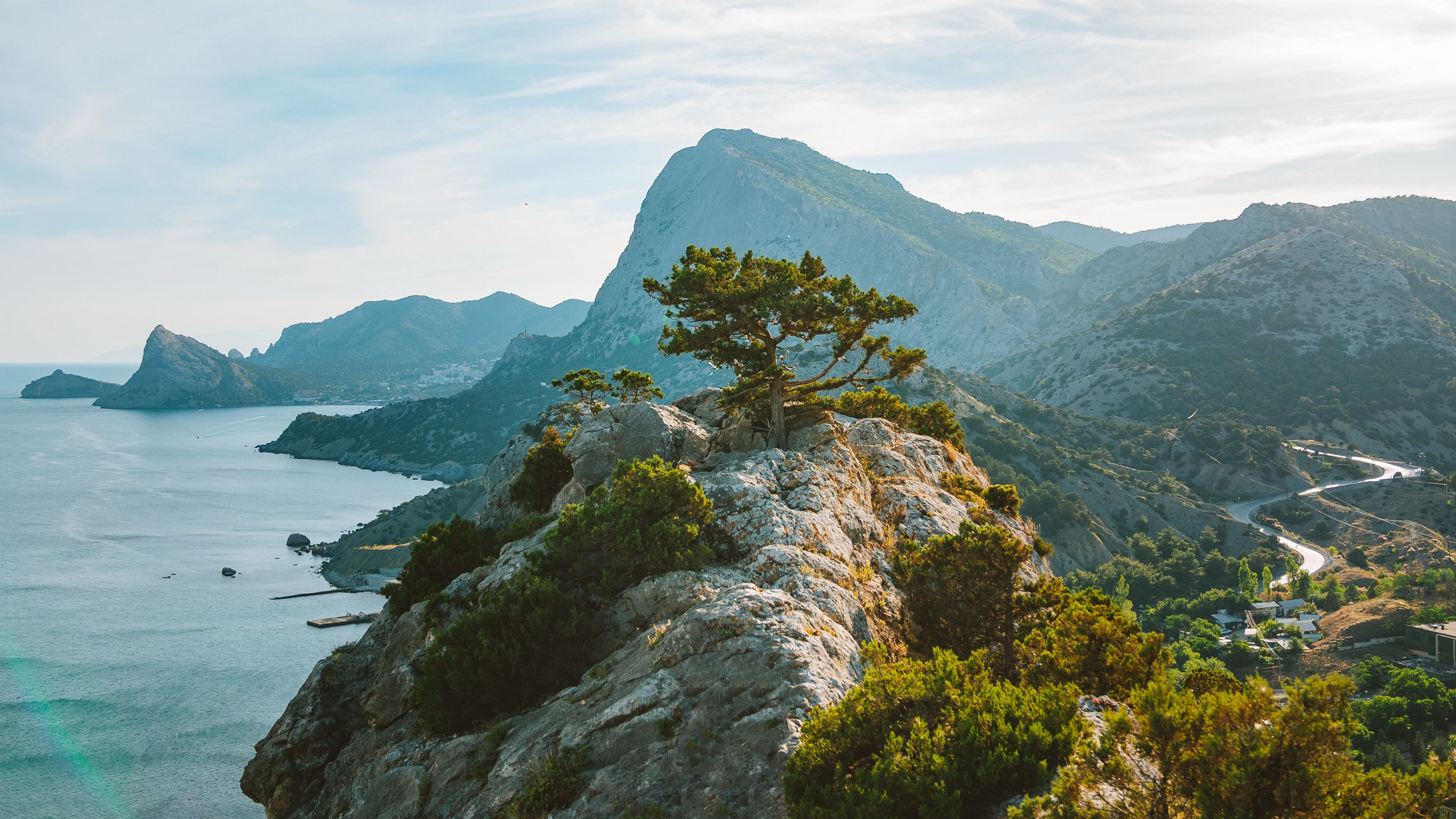 tree, rocks, cliff, sea, sky, 4k, HD Wallpaper