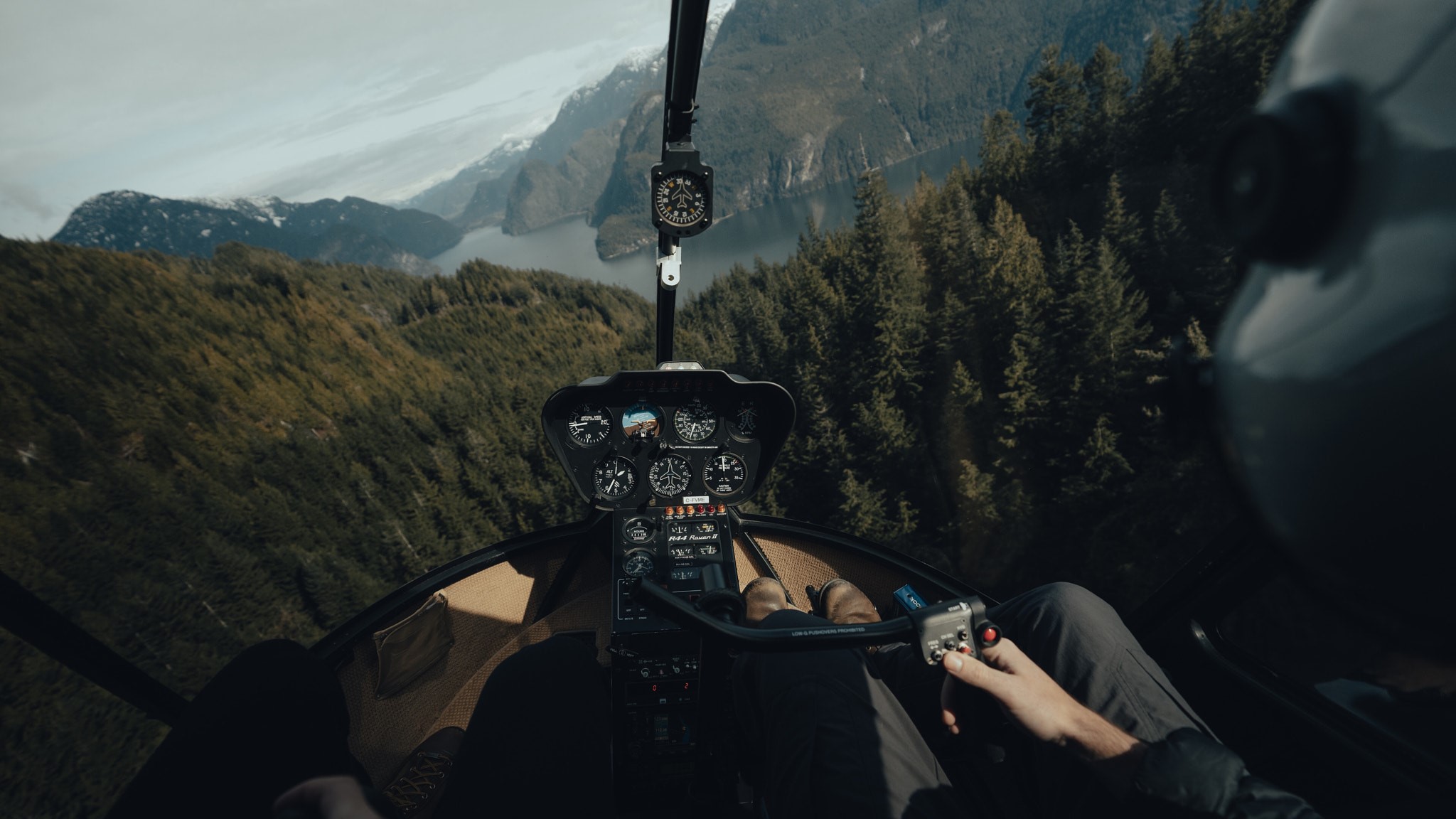 nature, helicopter, pilot, pine trees, 500px, HD Wallpaper