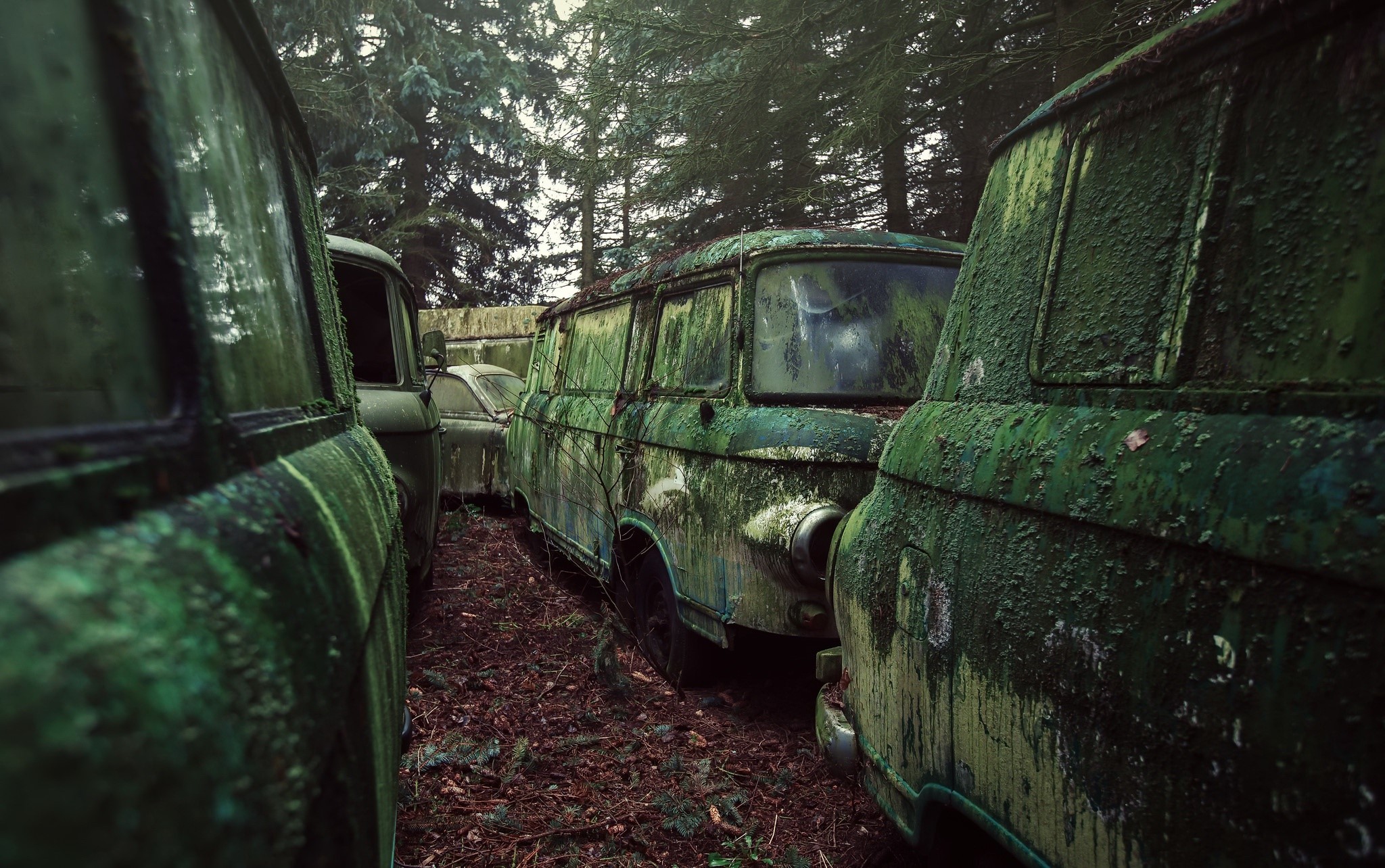 car, vehicle, wreck, moss, green, HD Wallpaper